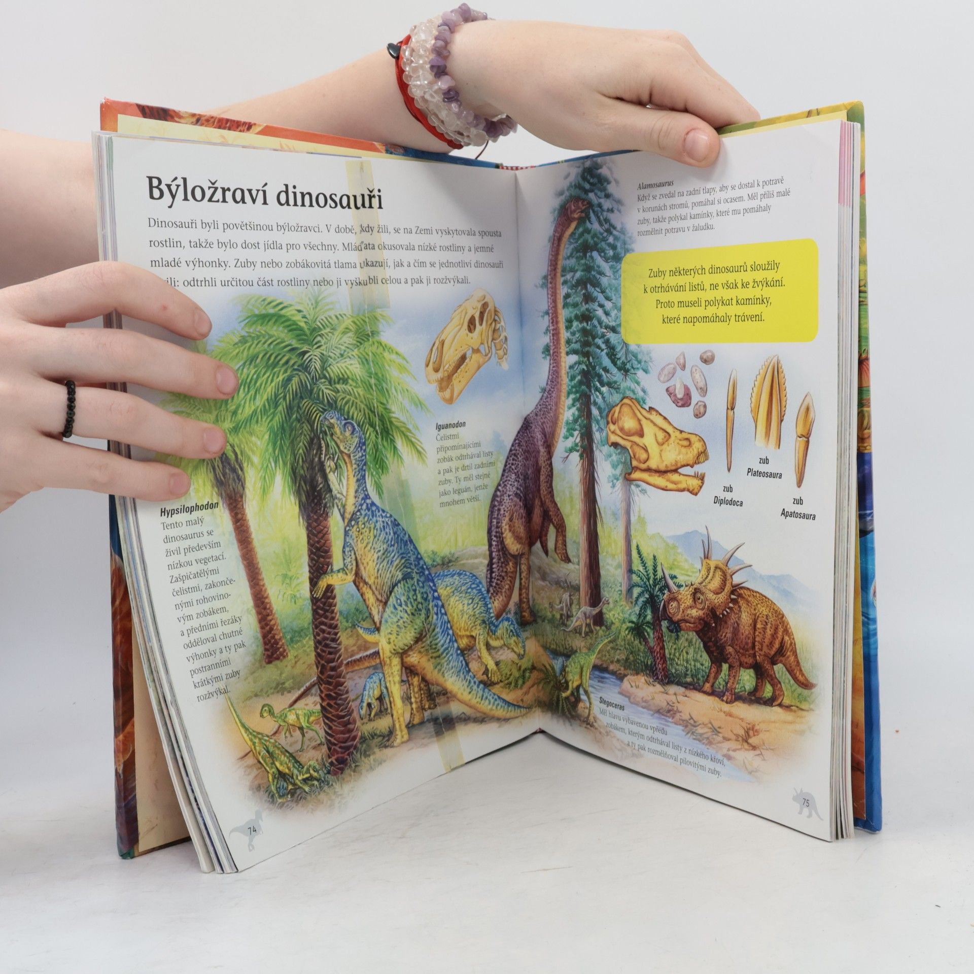 Francisco Arredondo Velká kniha Svět dinosaurů