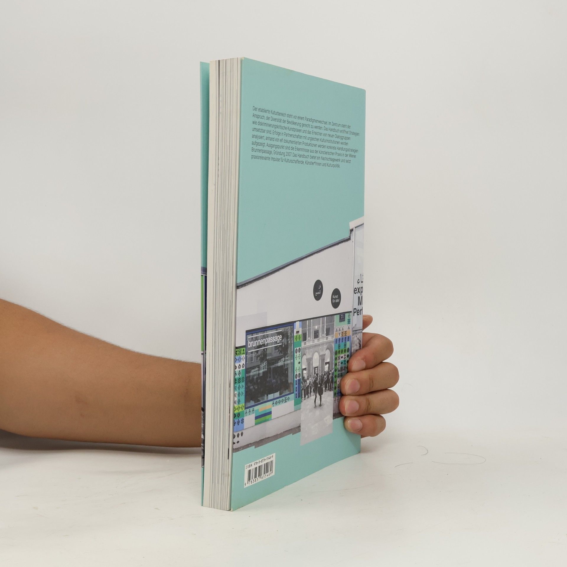 Ivana Pilić Kunstpraxis in der Migrationsgesellschaft