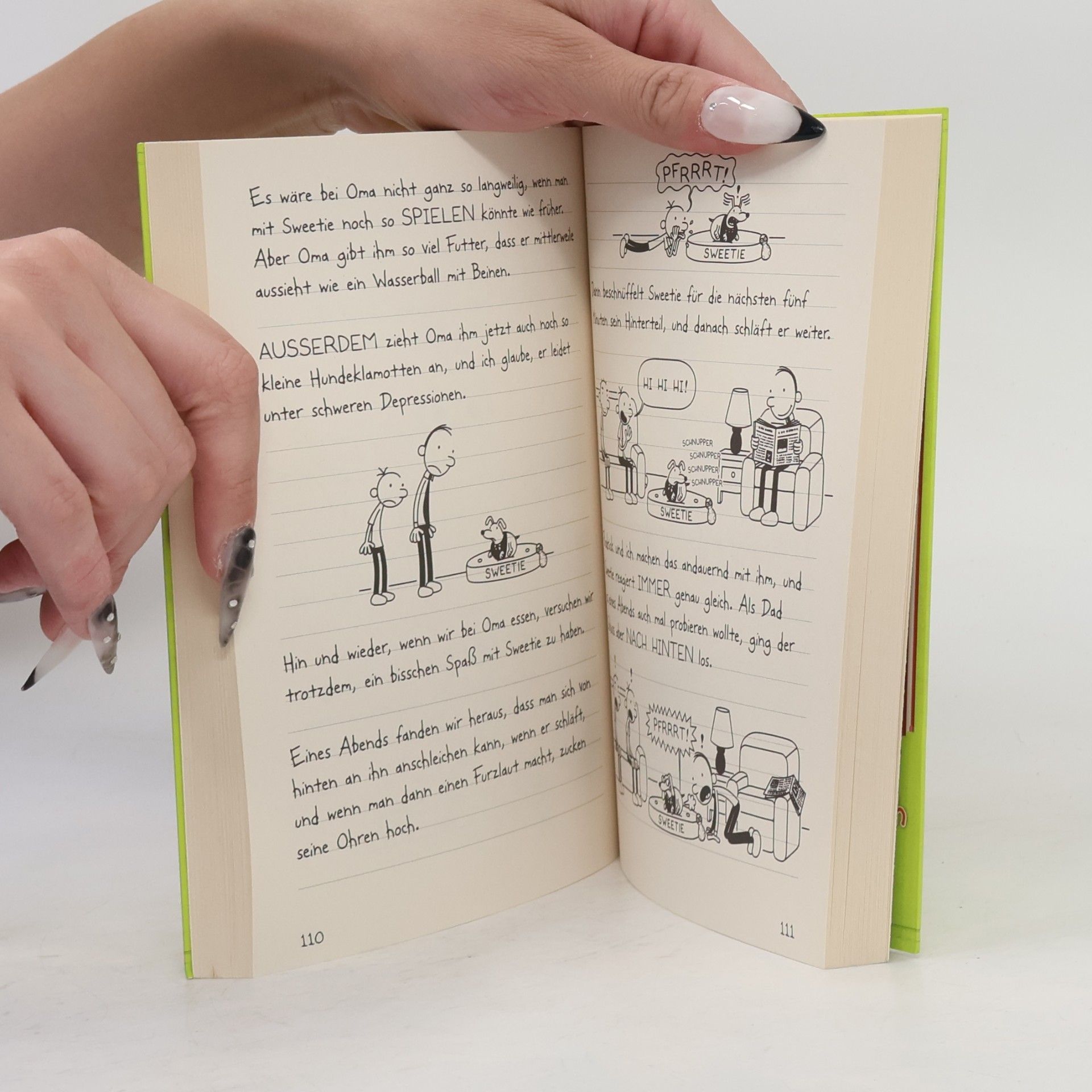 Jeff Kinney Gregs Tagebuch 8. Echt übel!