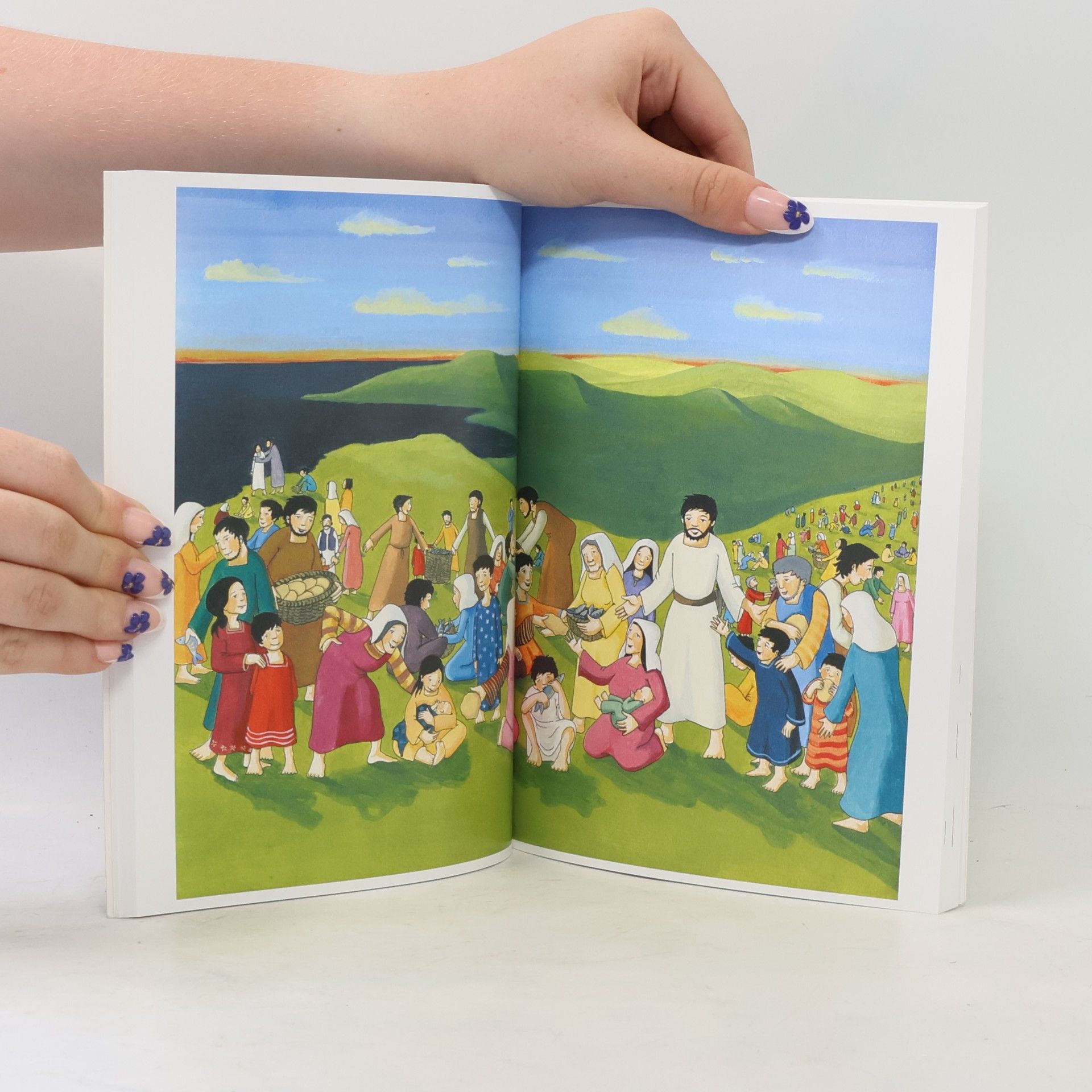 Martina Merckel-Braun Elberfelder Kinderbibel