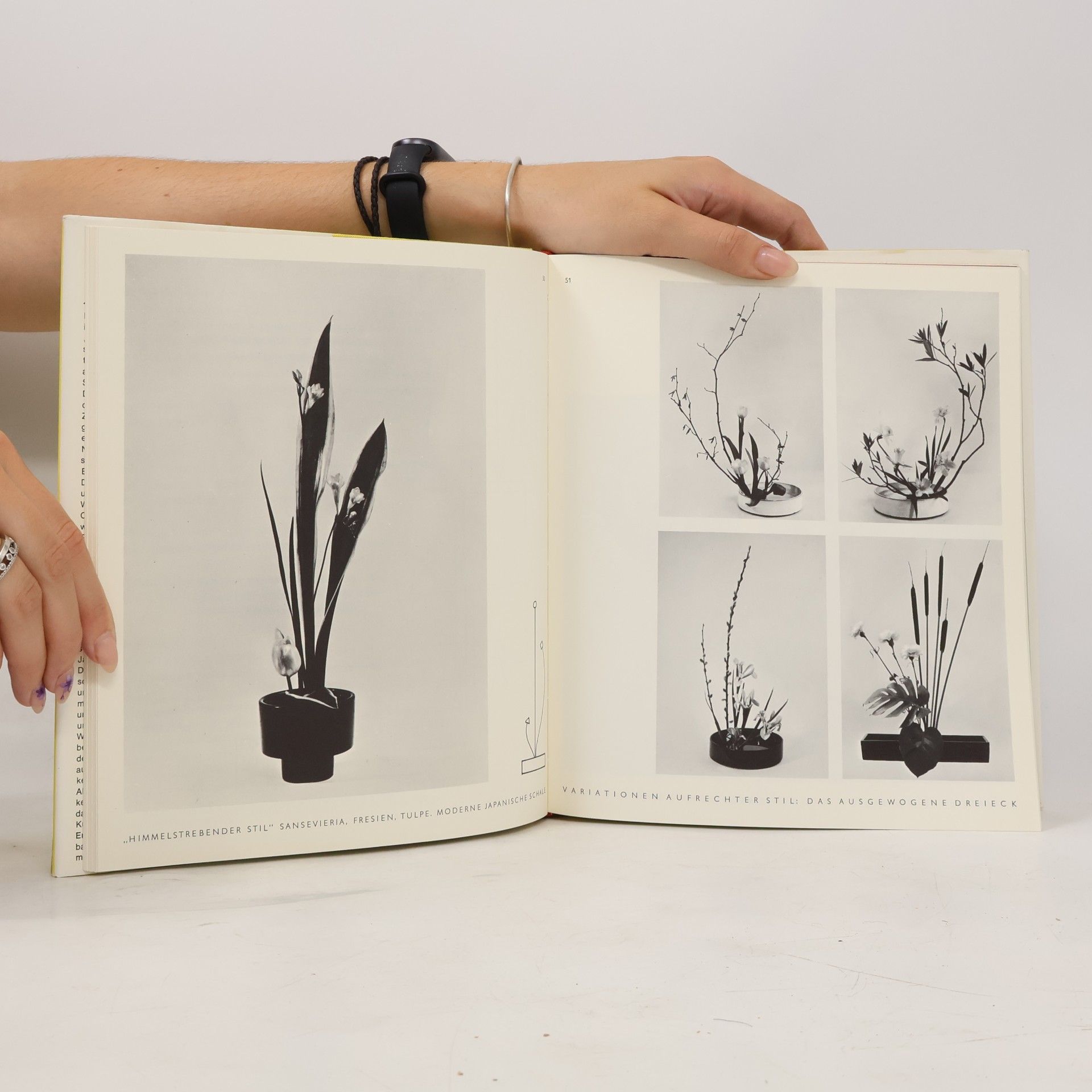 Editha Leppich Ikebana Lehrbuch