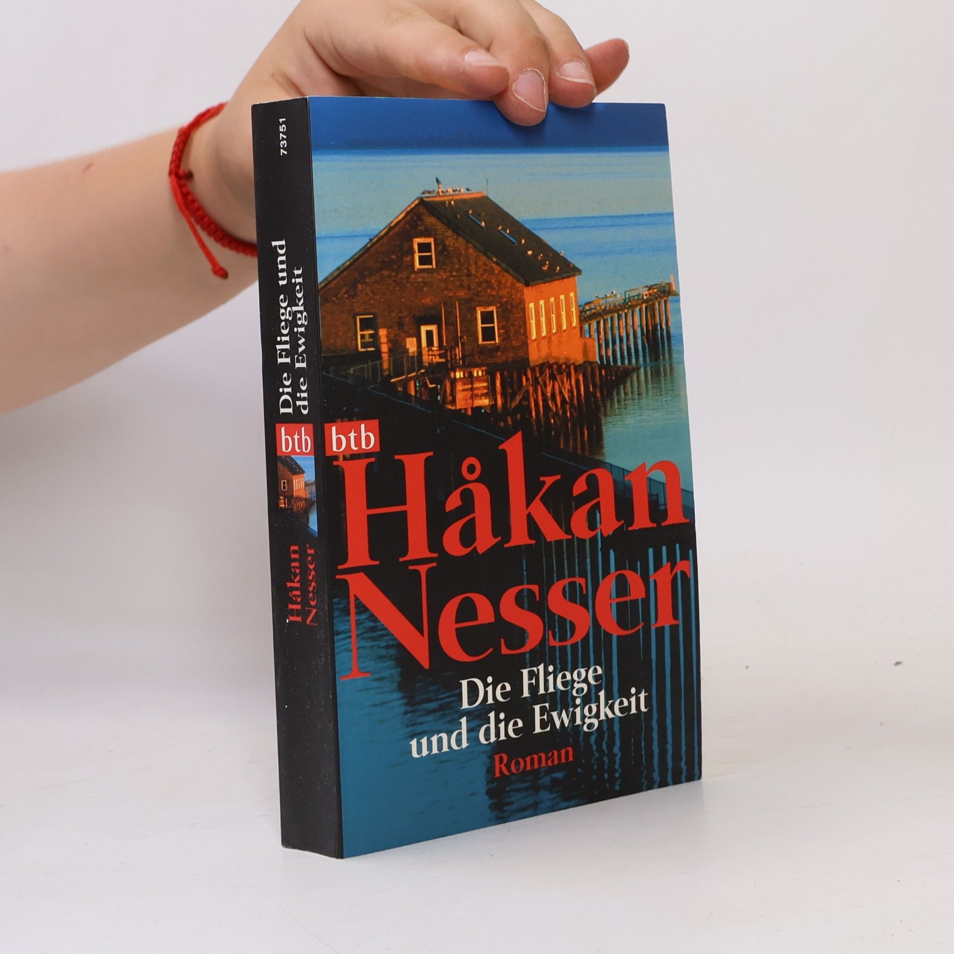 Håkan Nesser Die Fliege und die Ewigkeit