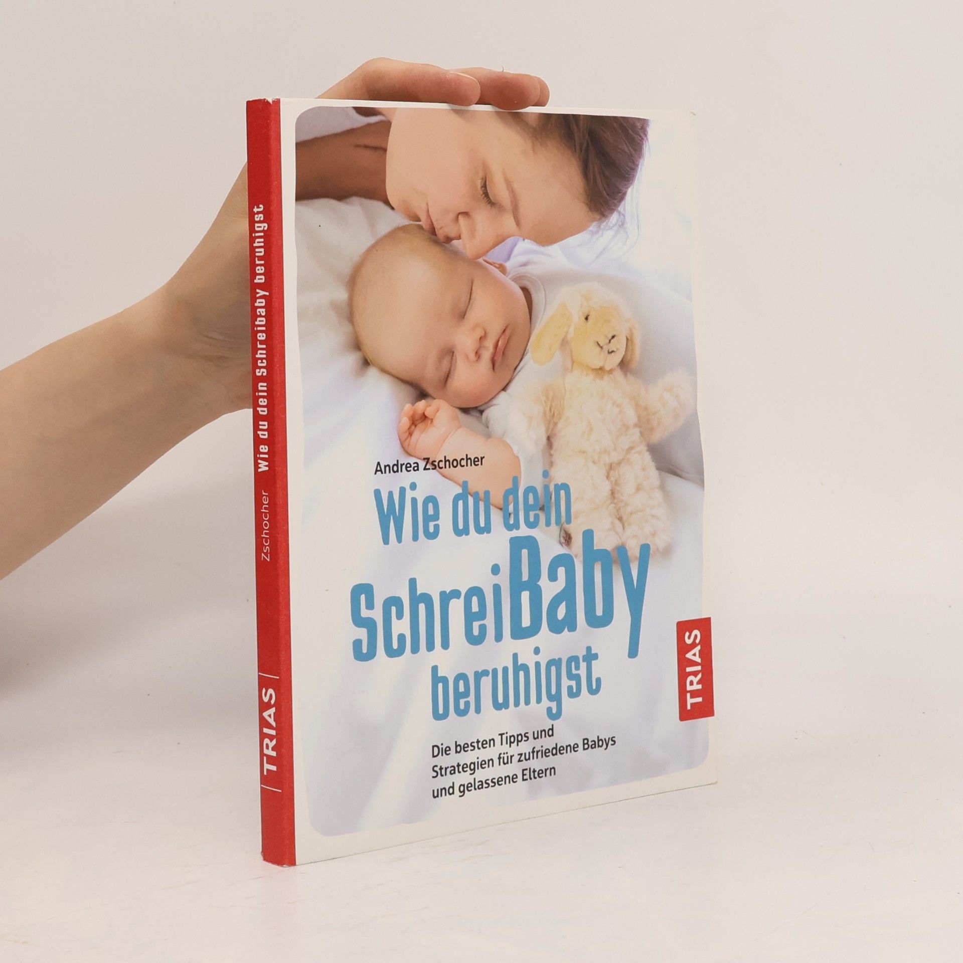 Andrea Zschocher Wie du dein Schreibaby beruhigst