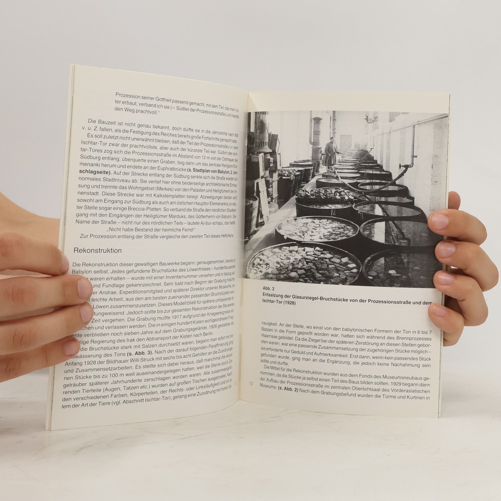 Autorenkollektiv Babylon und das Neujahrsfest. VAM Kleine Schriften 1