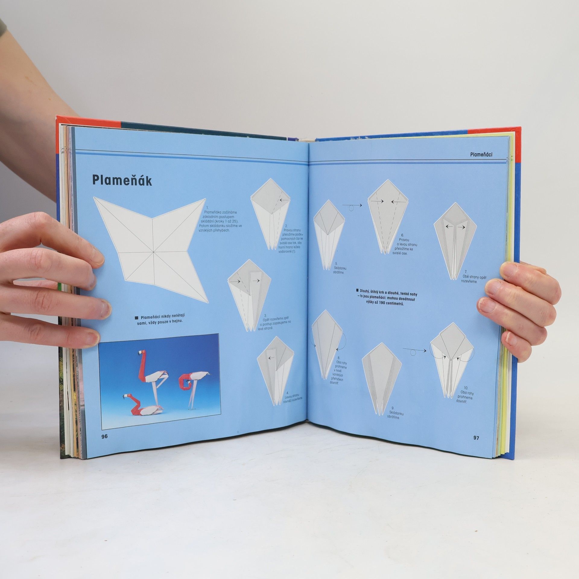 Héctor Rojas F Fascinující svět origami zvířátek