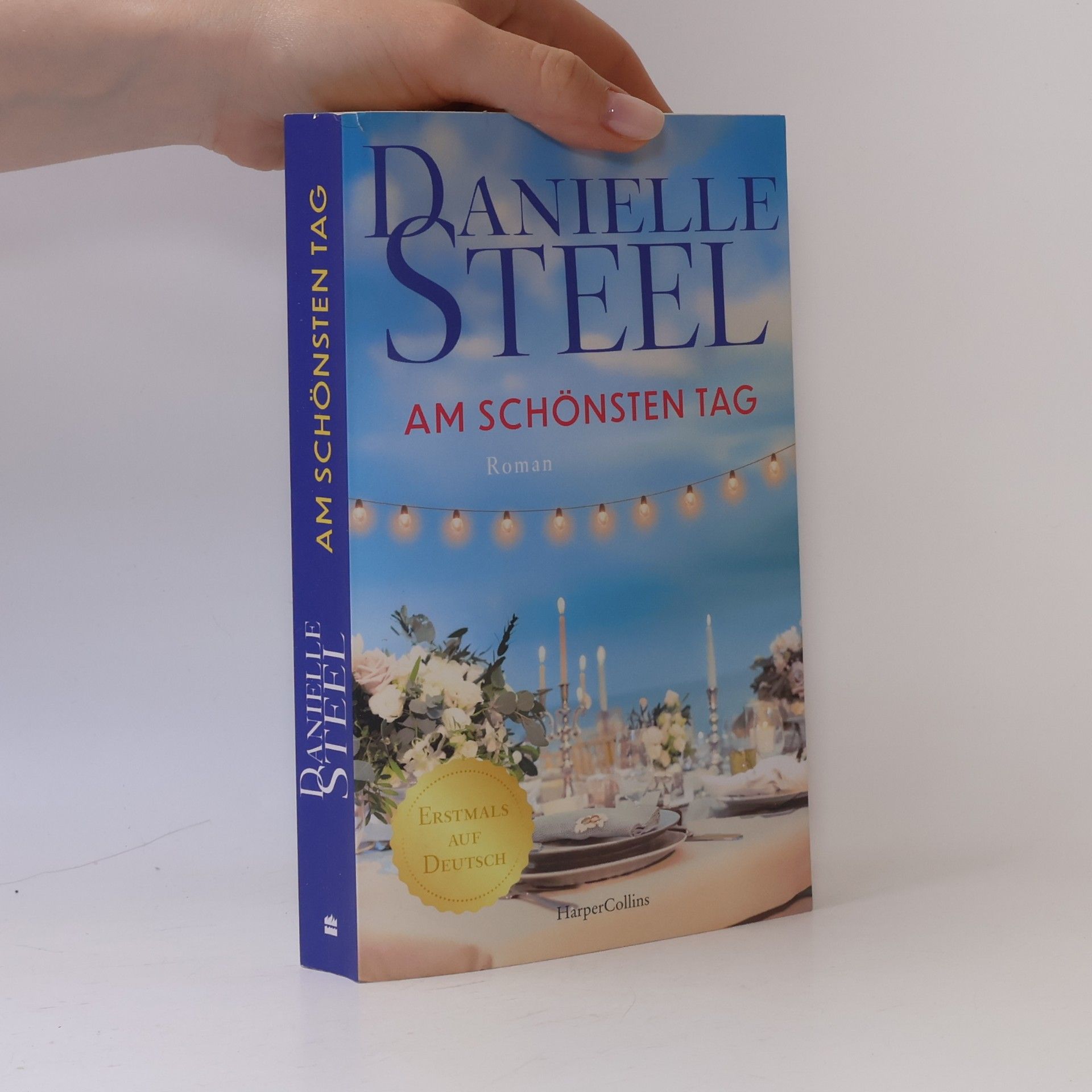 Danielle Steel Am schönsten Tag