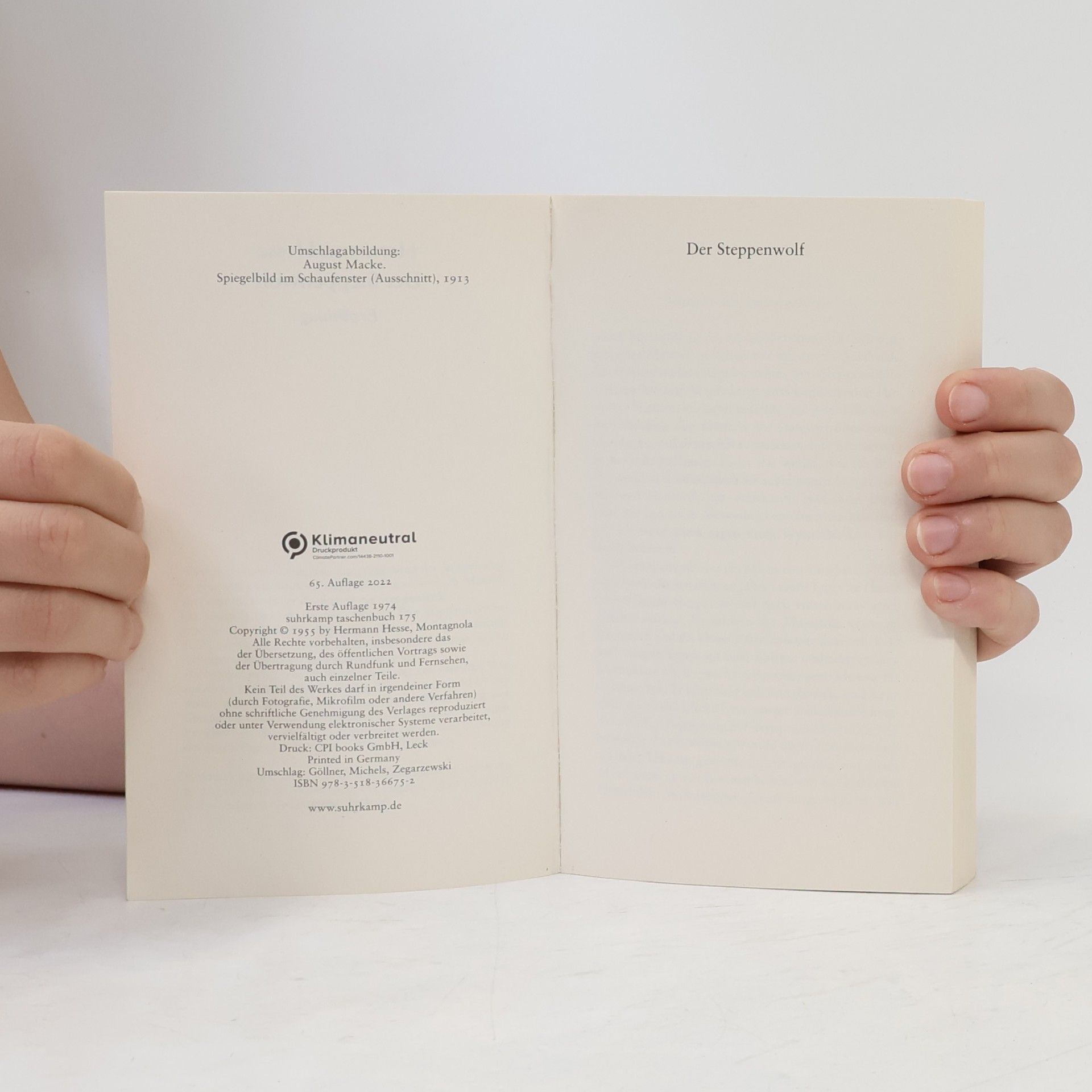 Hermann Hesse Der Steppenwolf