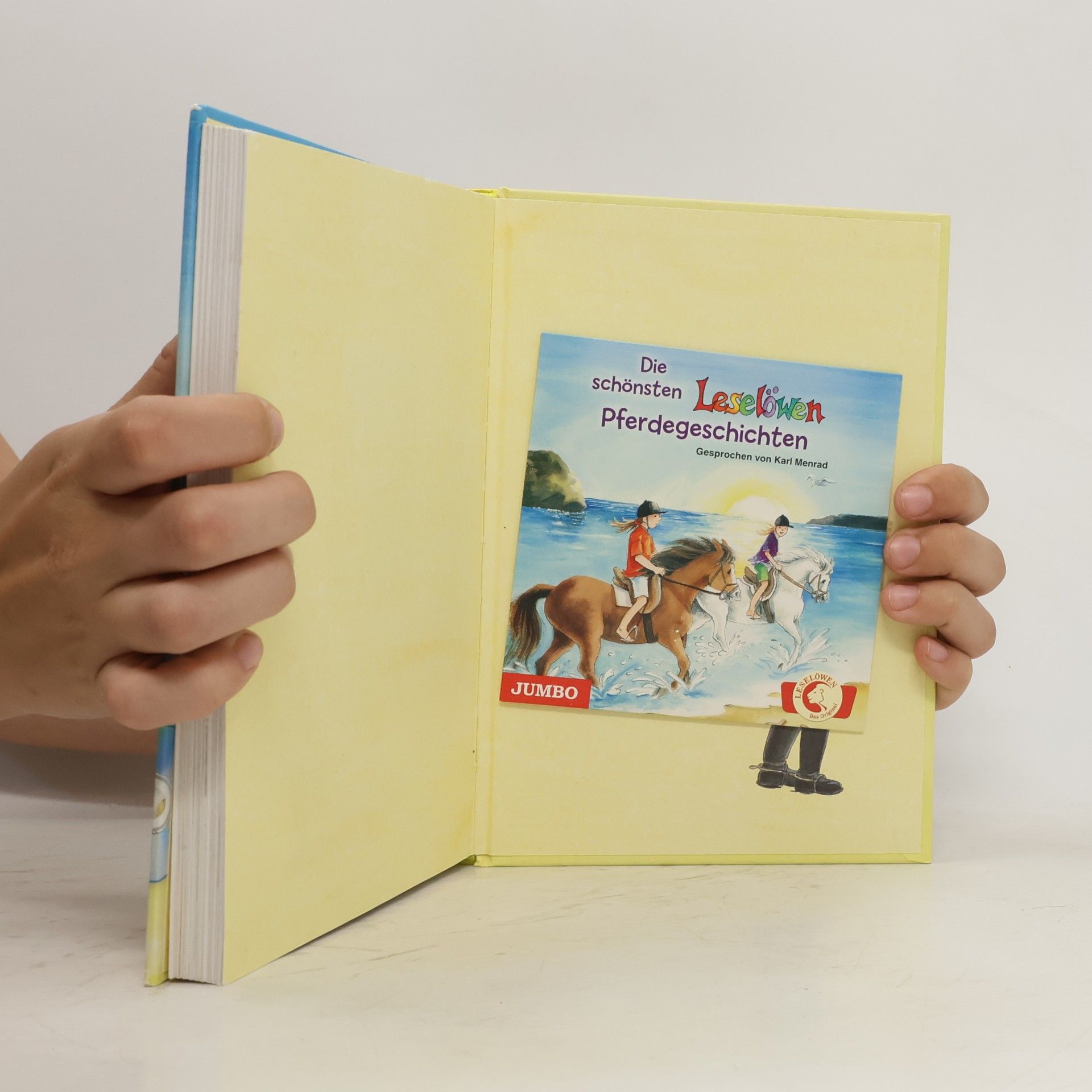 Autorenkollektiv Die schönsten Leselöwen Pferdegeschichten