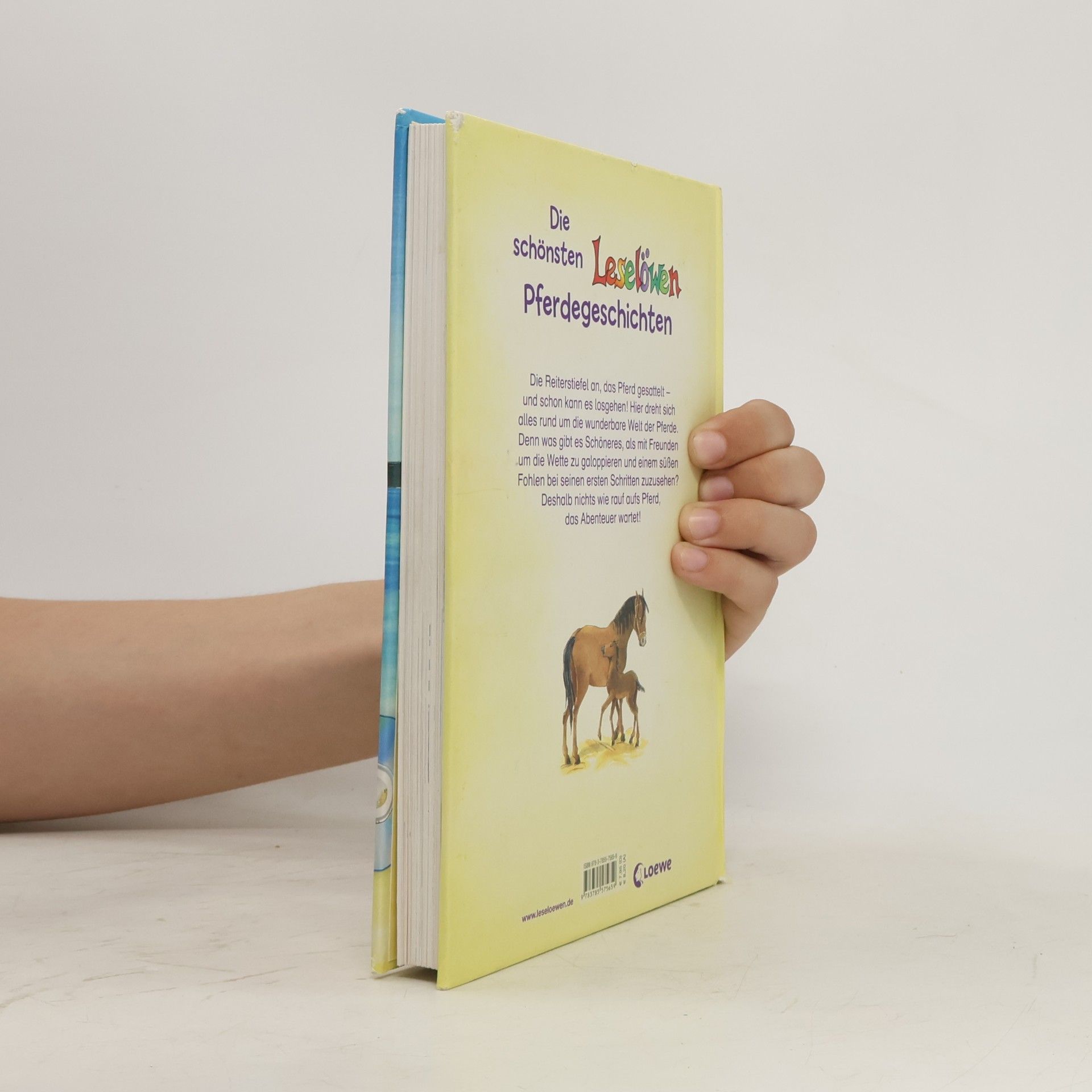 Autorenkollektiv Die schönsten Leselöwen Pferdegeschichten