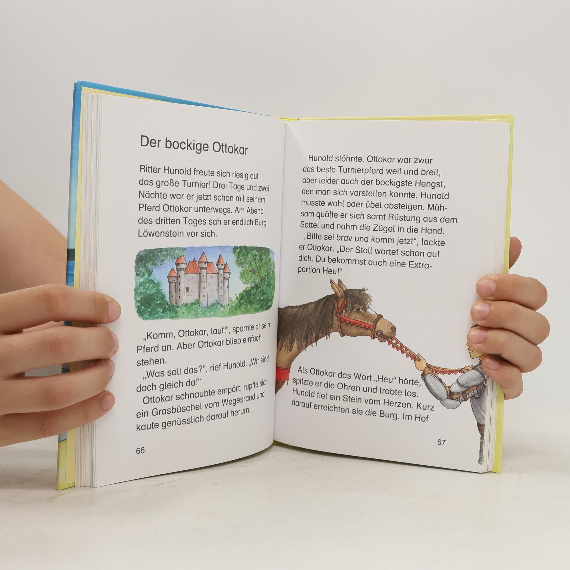 Autorenkollektiv Die schönsten Leselöwen Pferdegeschichten