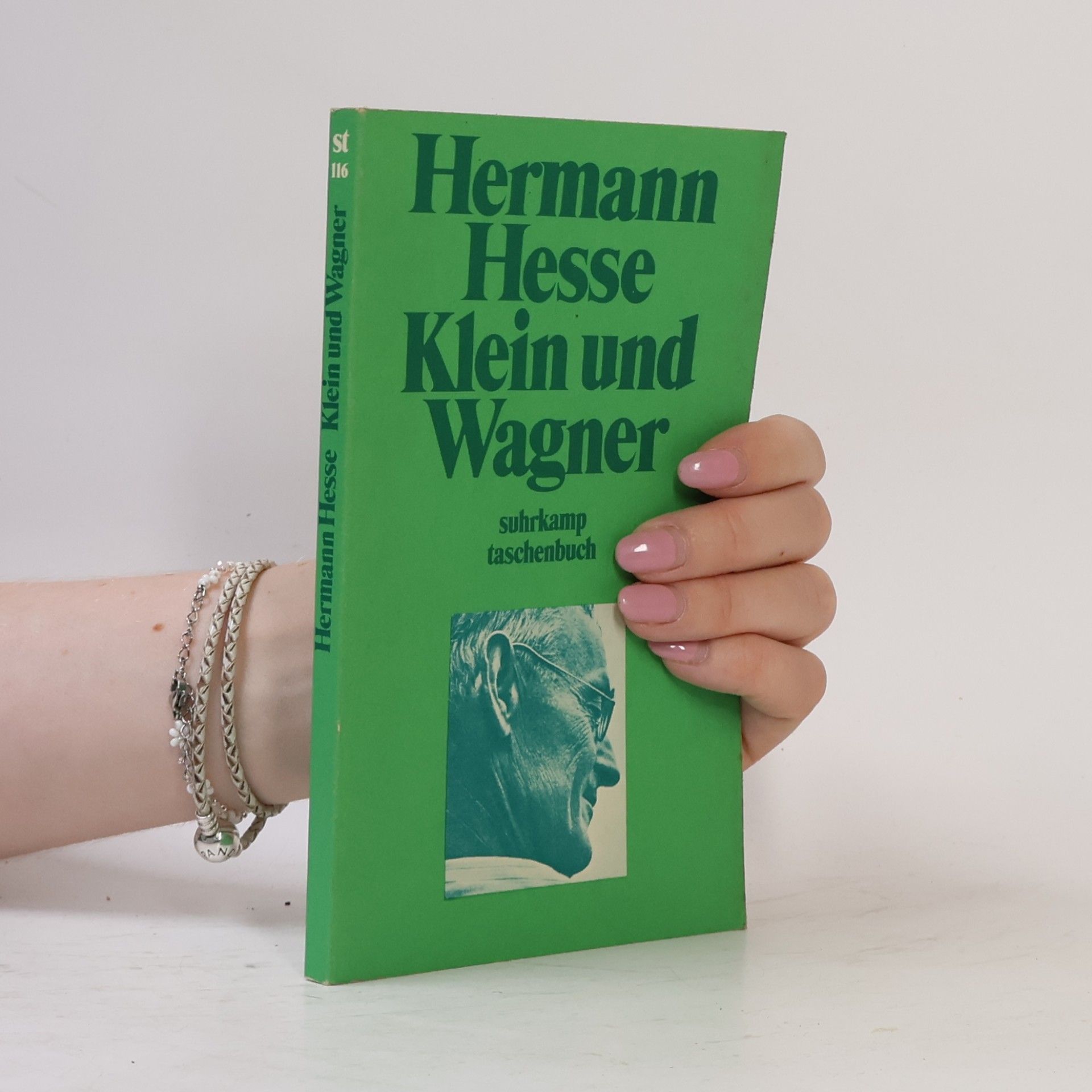 Hermann Hesse Klein und Wagner