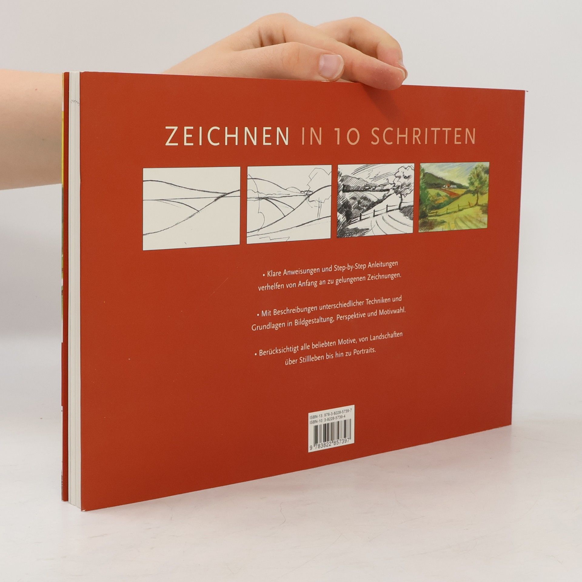 Jill Bays Zeichnen in 10 Schritten