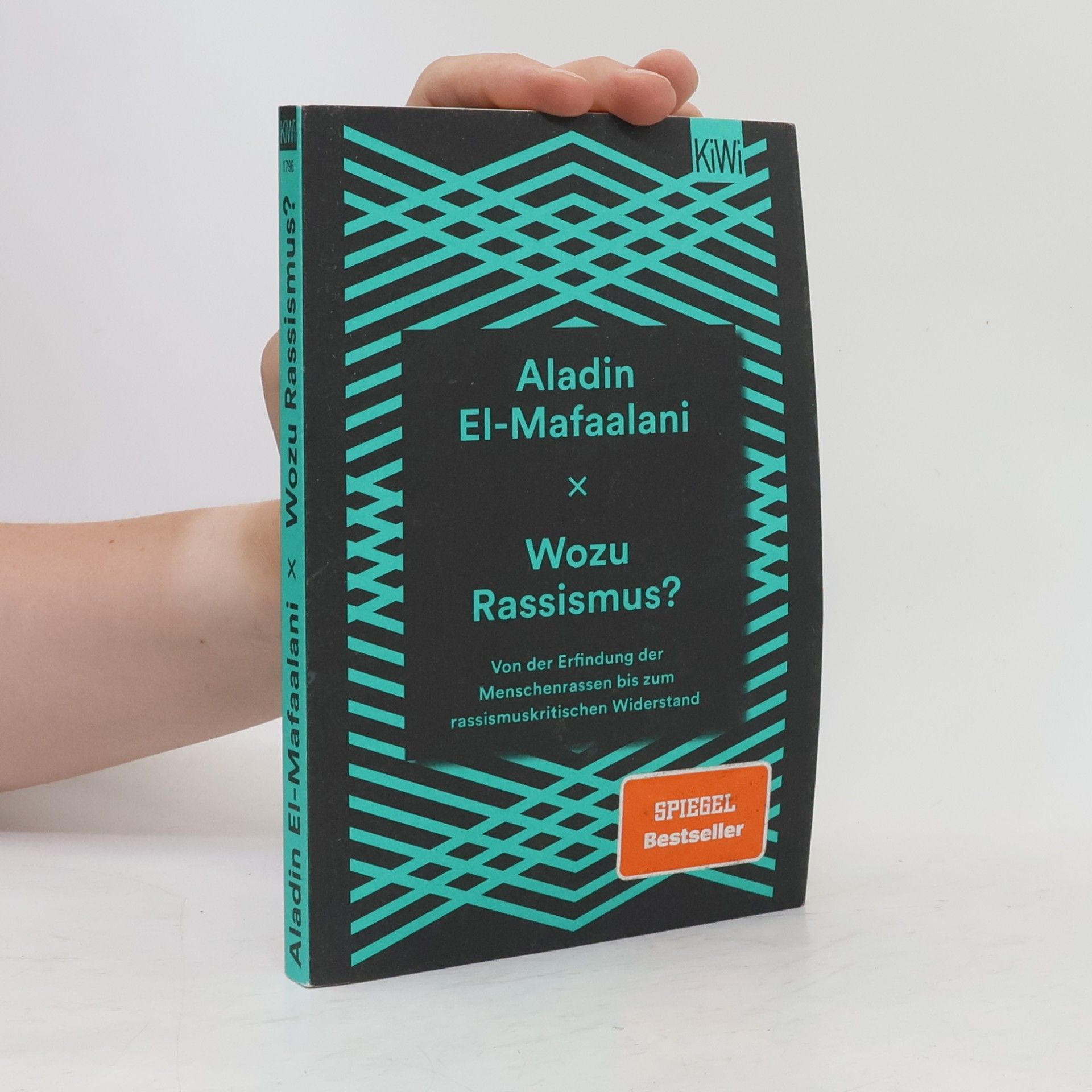 Aladin El-Mafaalani Wozu Rassismus?