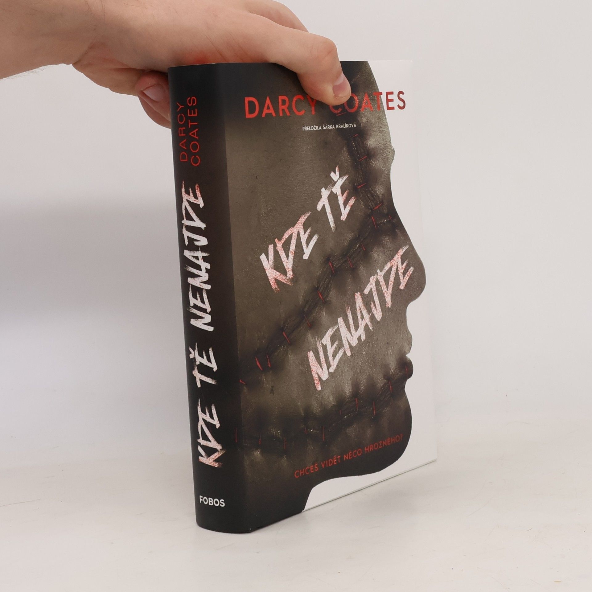 Darcy Coates Kde tě nenajde