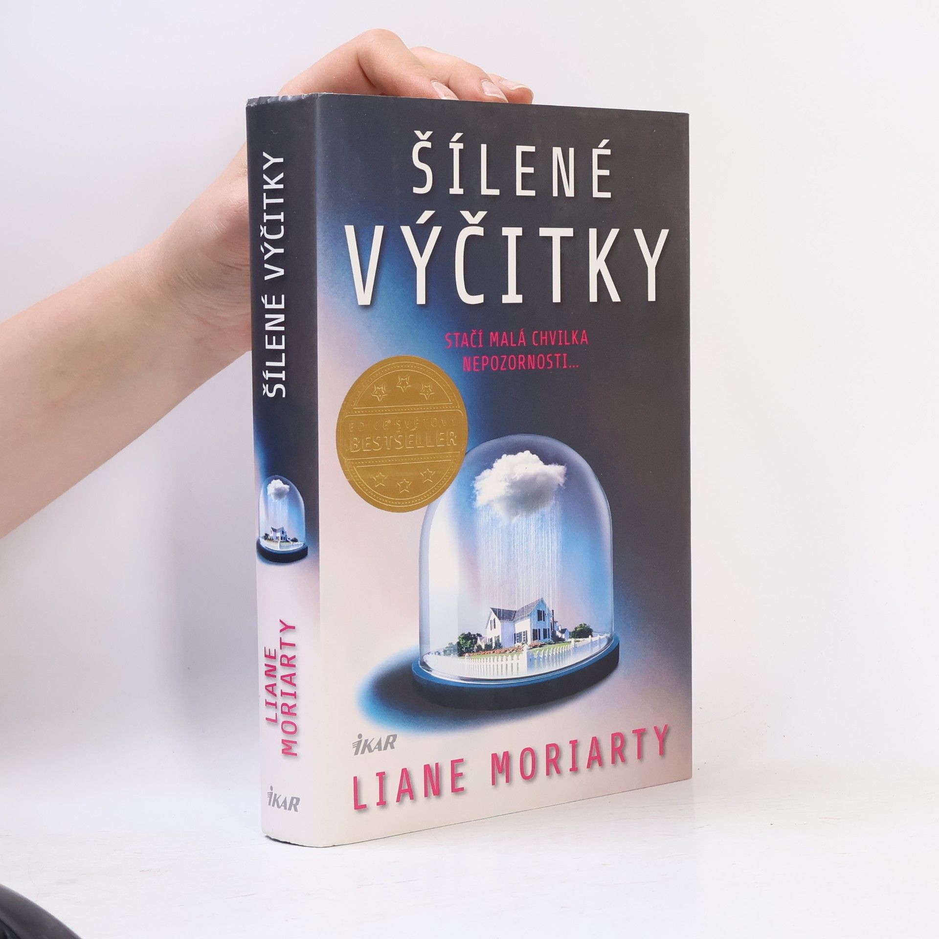 Liane Moriarty Šílené výčitky