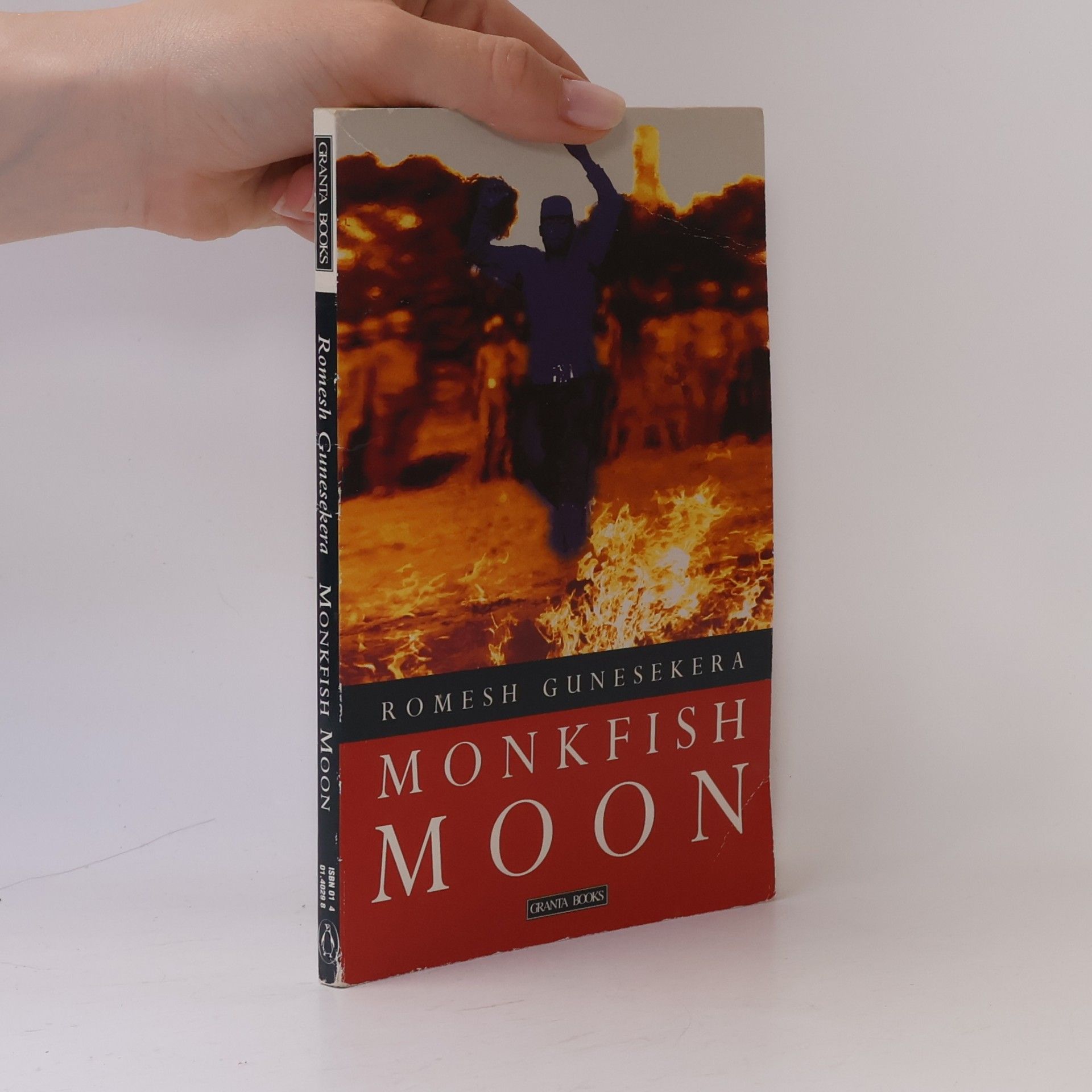 Romesh Gunesekera Monkfish Moon