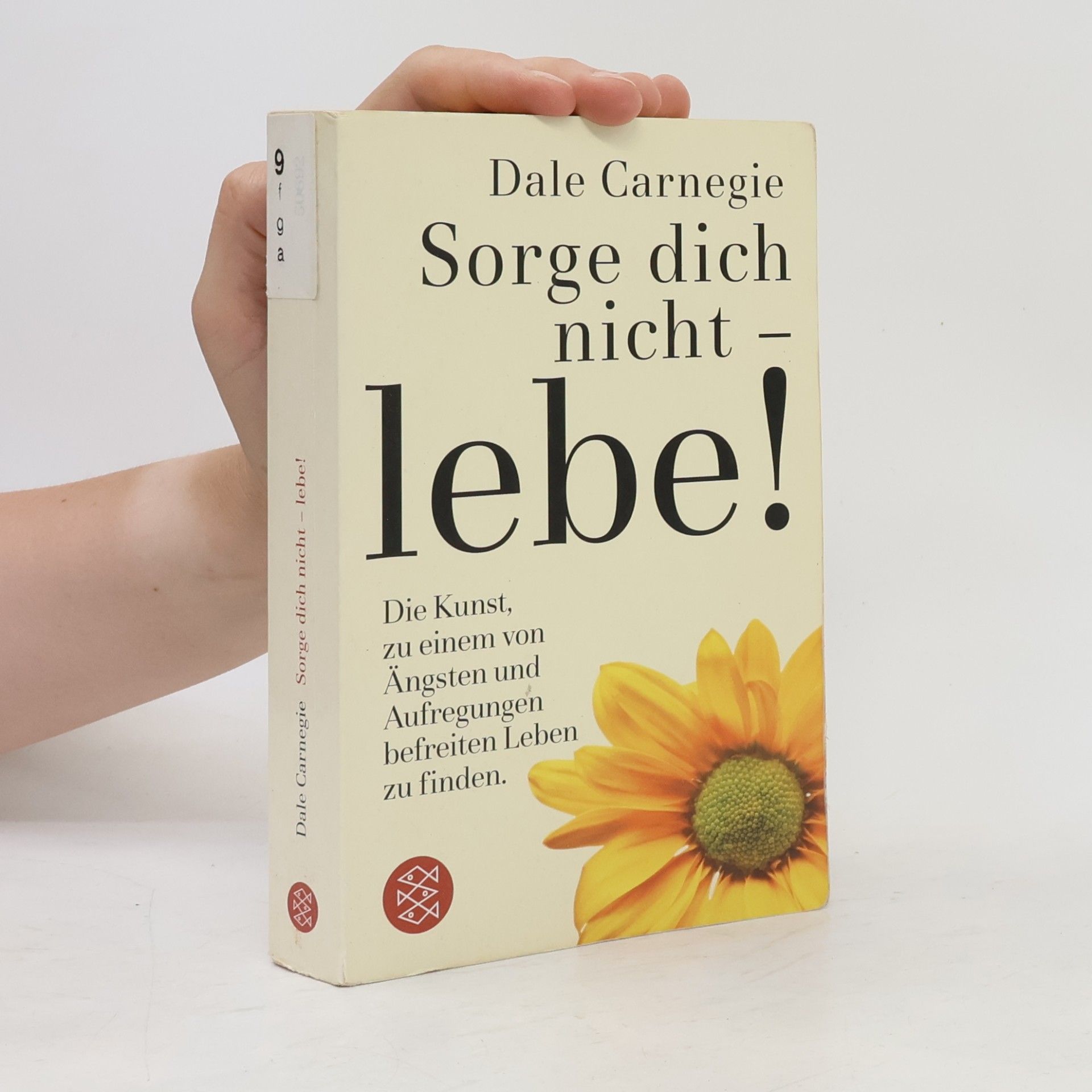 Dale Carnegie Sorge dich nicht - lebe!