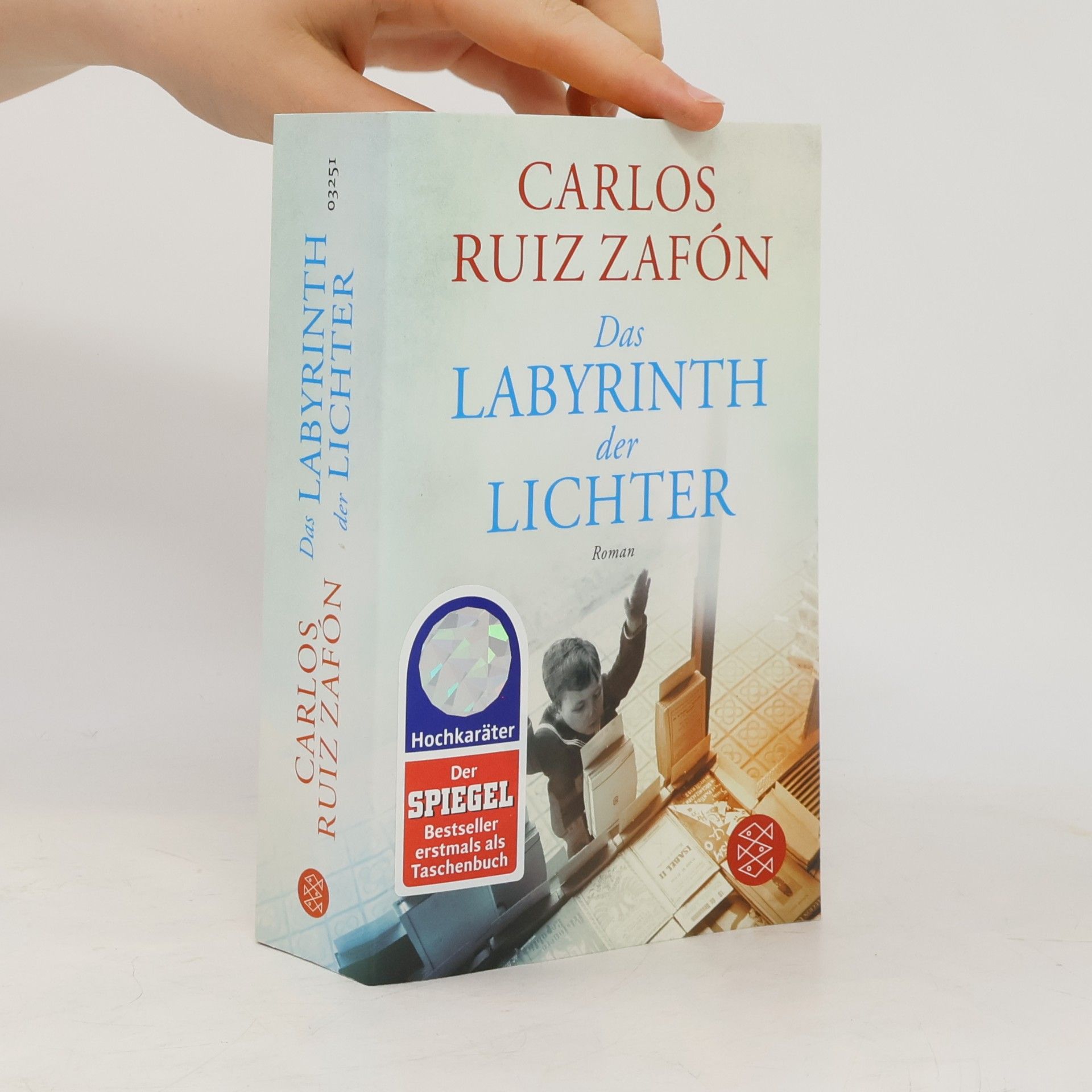 Carlos Ruiz Safon Das Labyrinth der Lichter