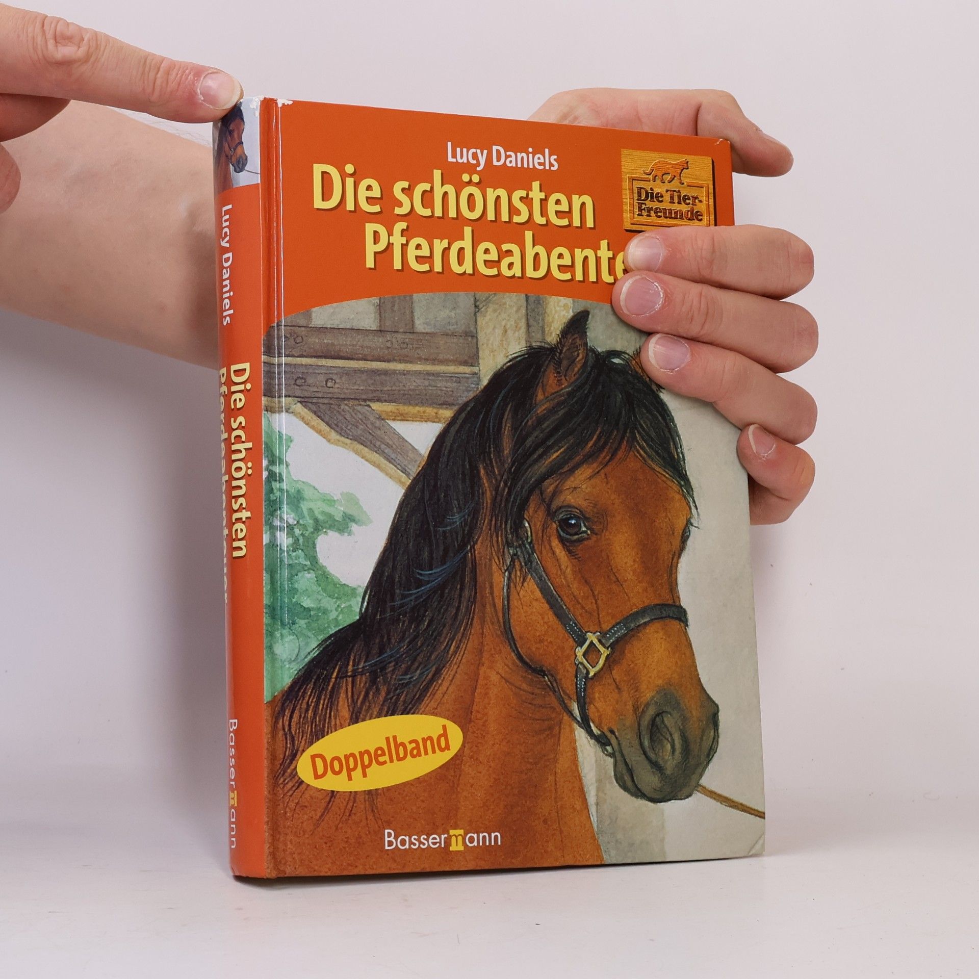 Lucy Daniels Die schönsten Pferdeabenteuer