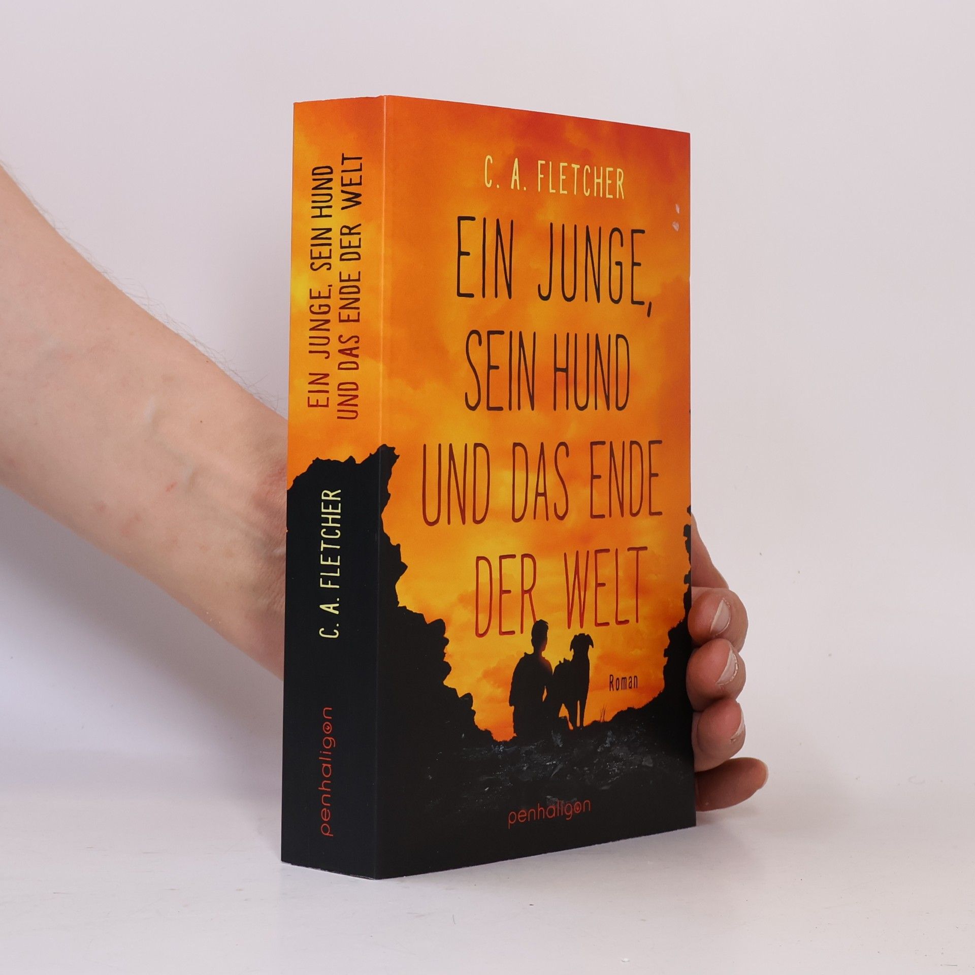 Charlie Fletcher Ein Junge, sein Hund und das Ende der Welt