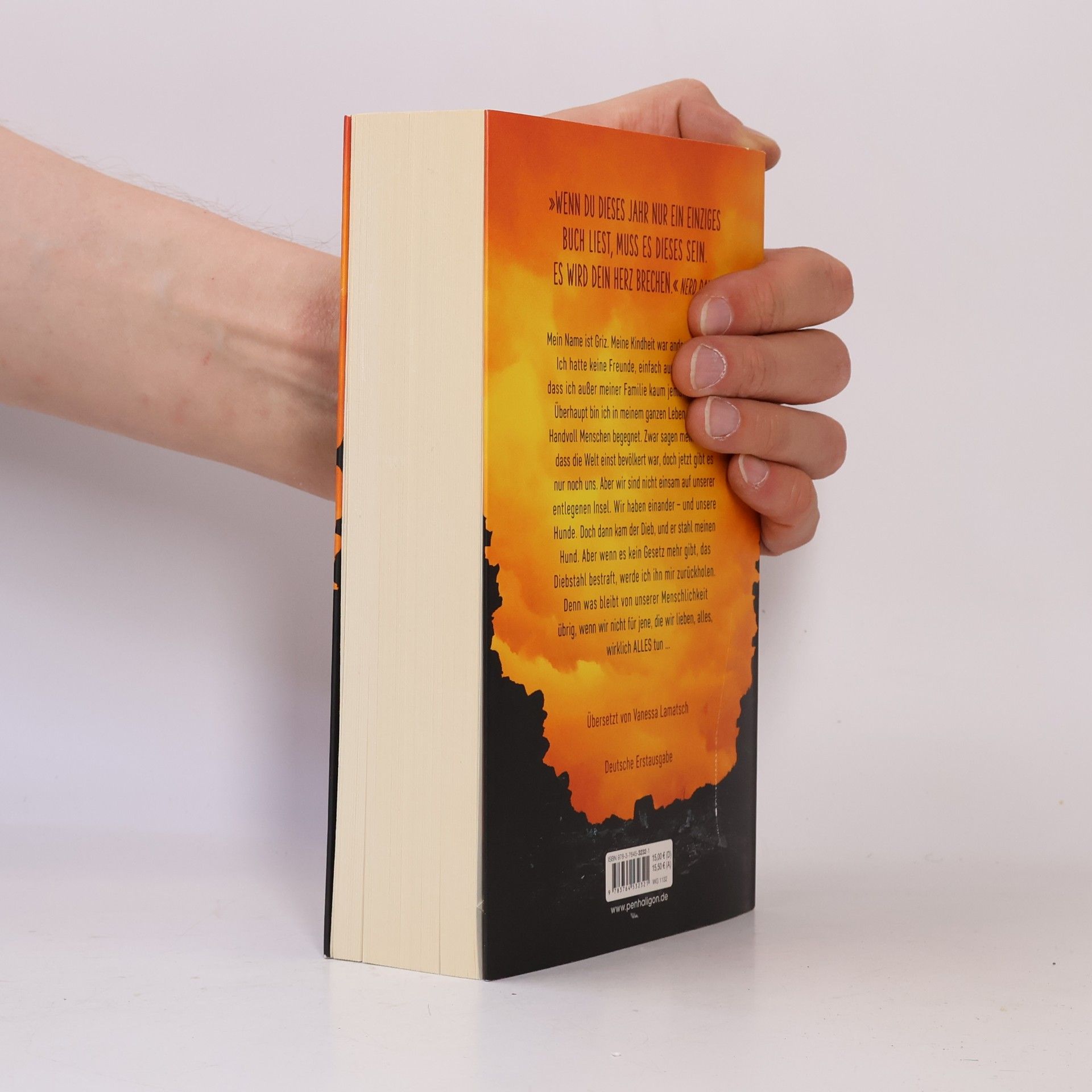 Charlie Fletcher Ein Junge, sein Hund und das Ende der Welt
