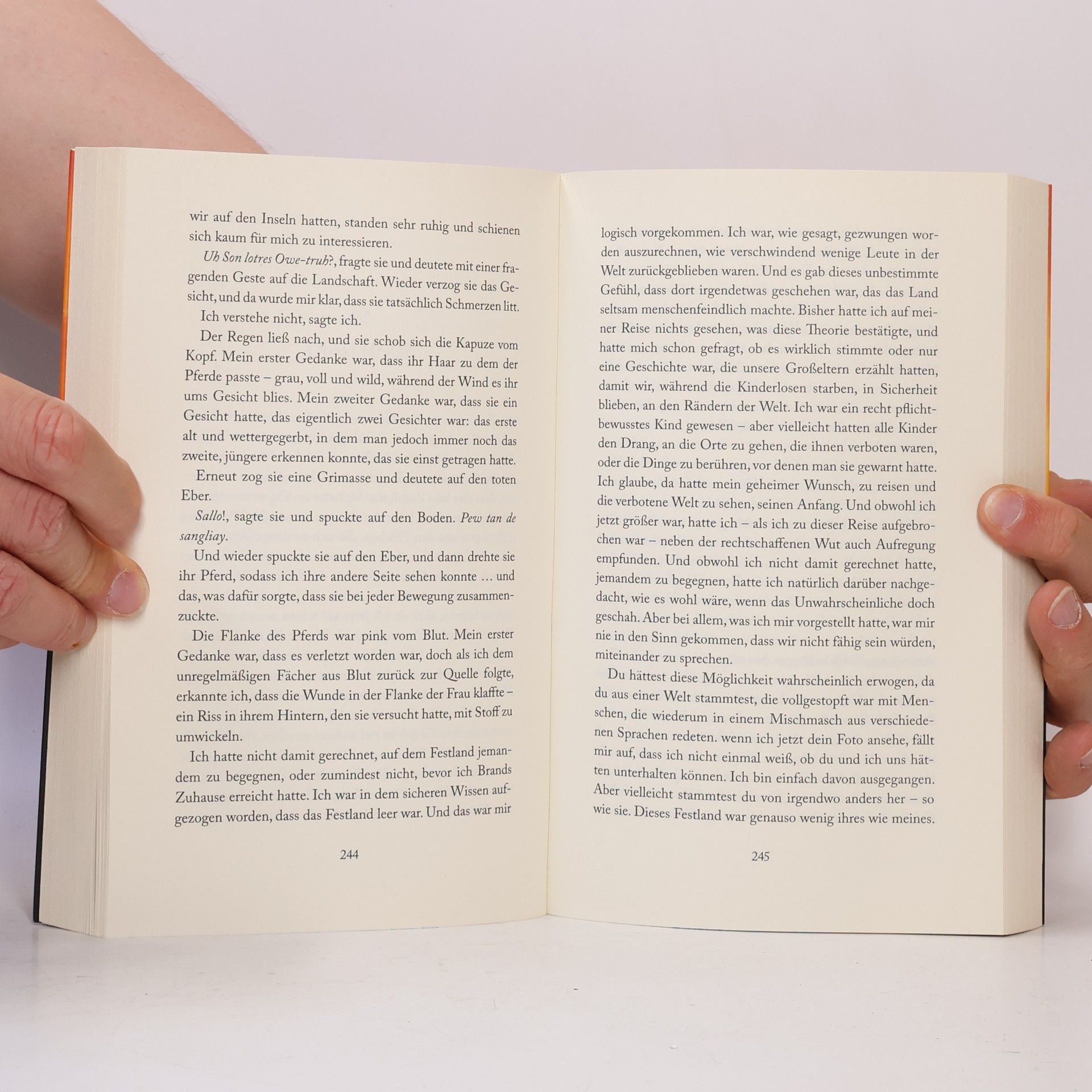Charlie Fletcher Ein Junge, sein Hund und das Ende der Welt