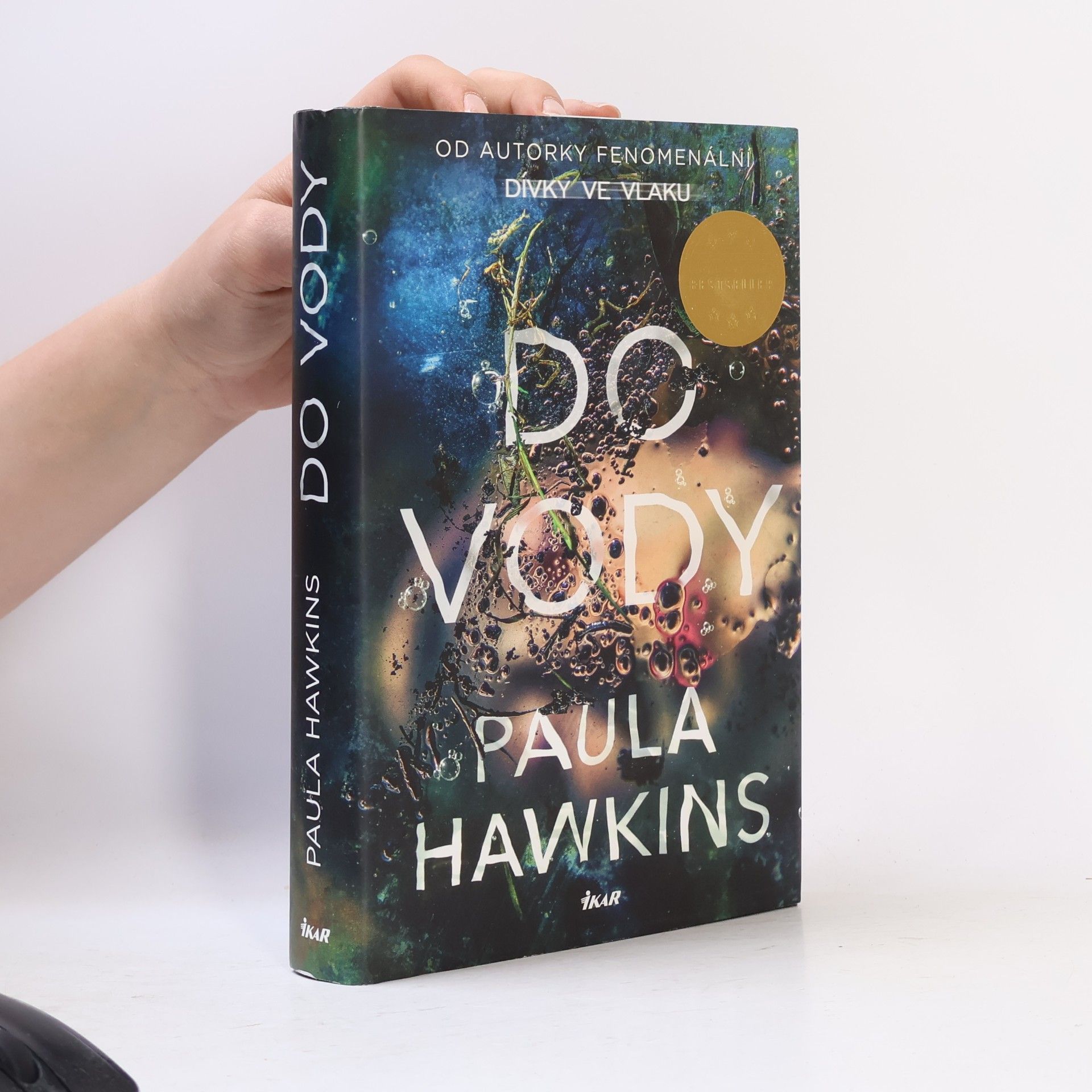 Paula Hawkinsová Do vody