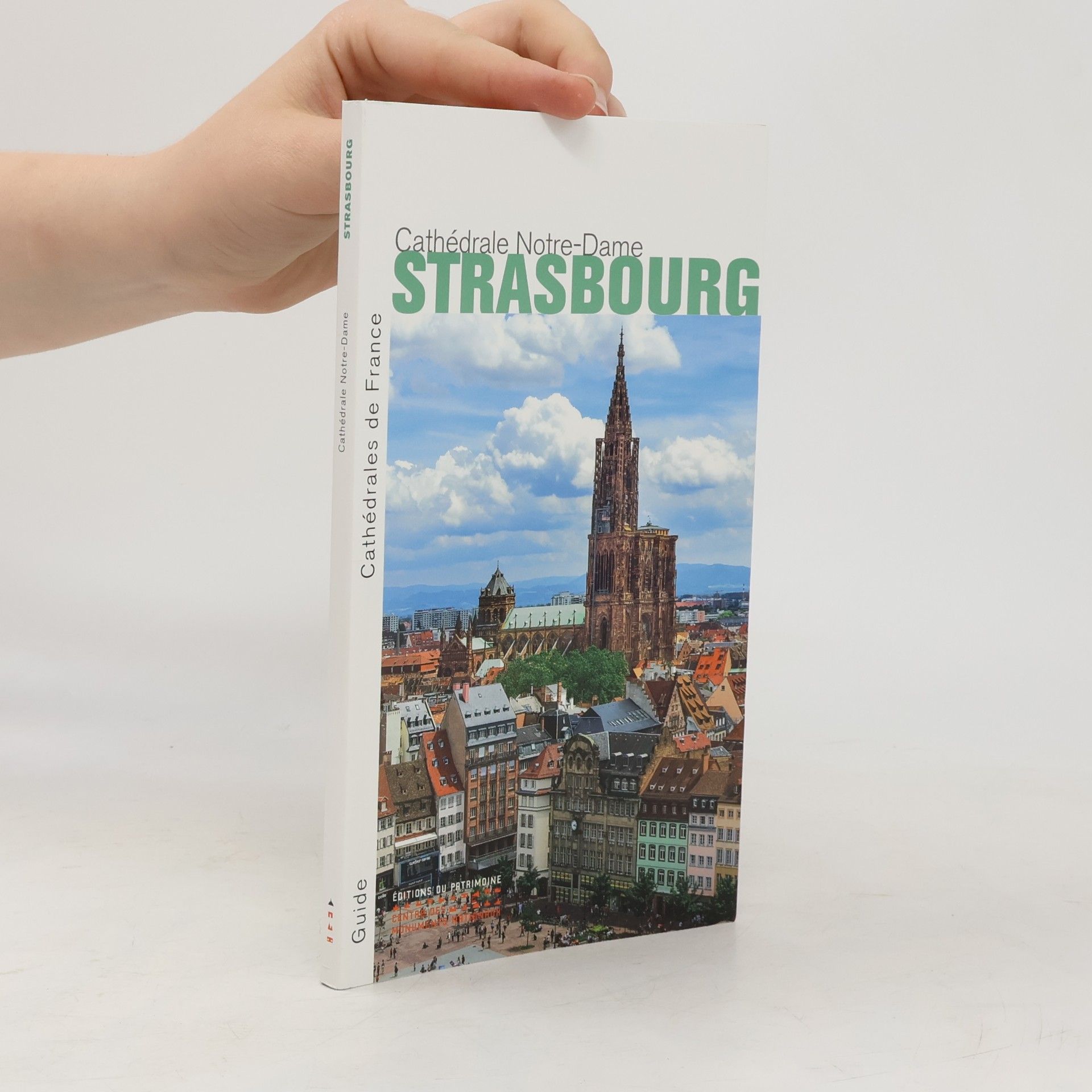Alain Villes La Cathédrale Notre-Dame de Strasbourg