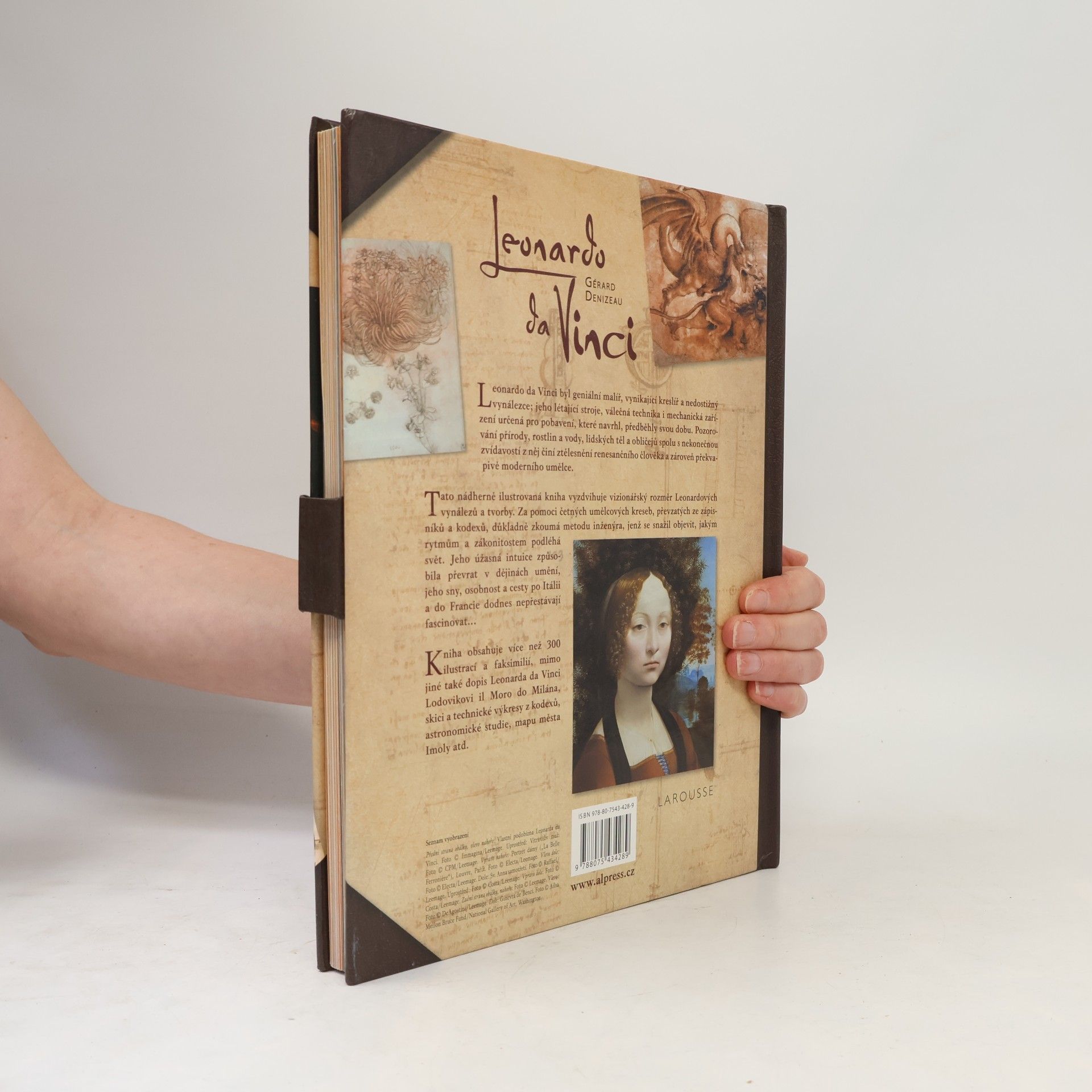 Gérard Denizeau Leonardo da Vinci