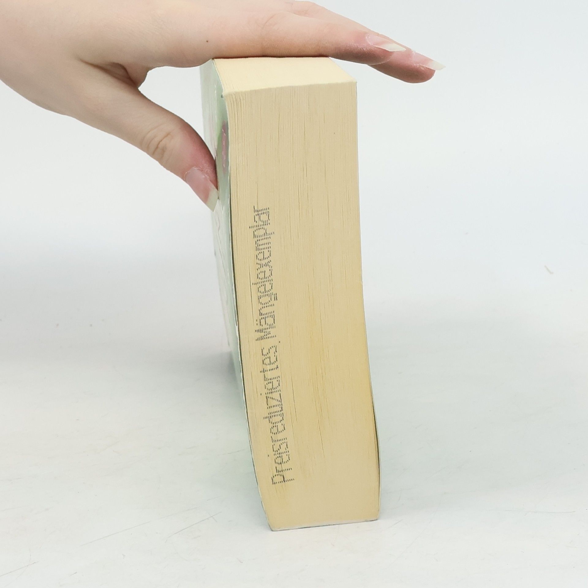 Cecelia Ahern Vermiss mein nicht
