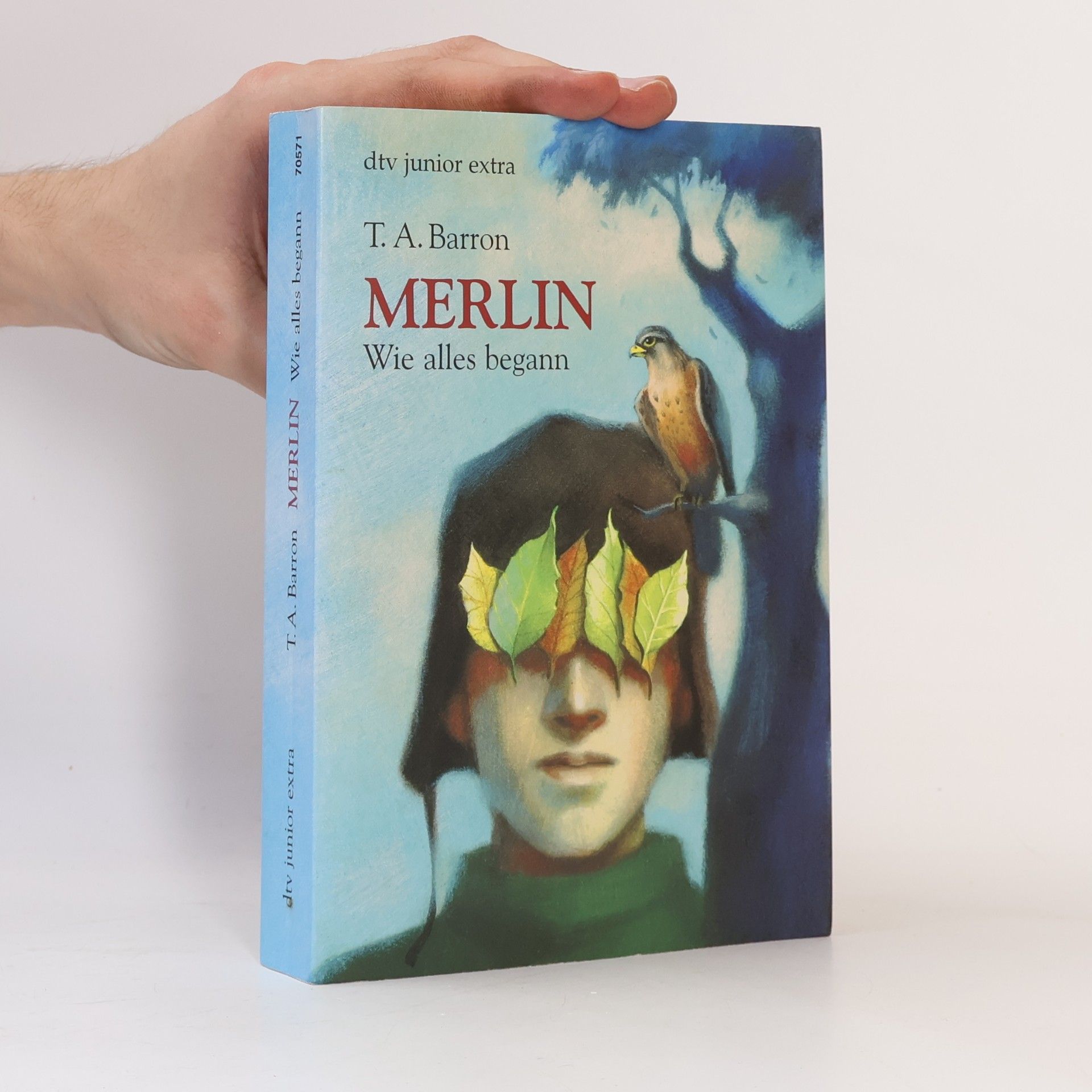Merlin. Wie alles begann