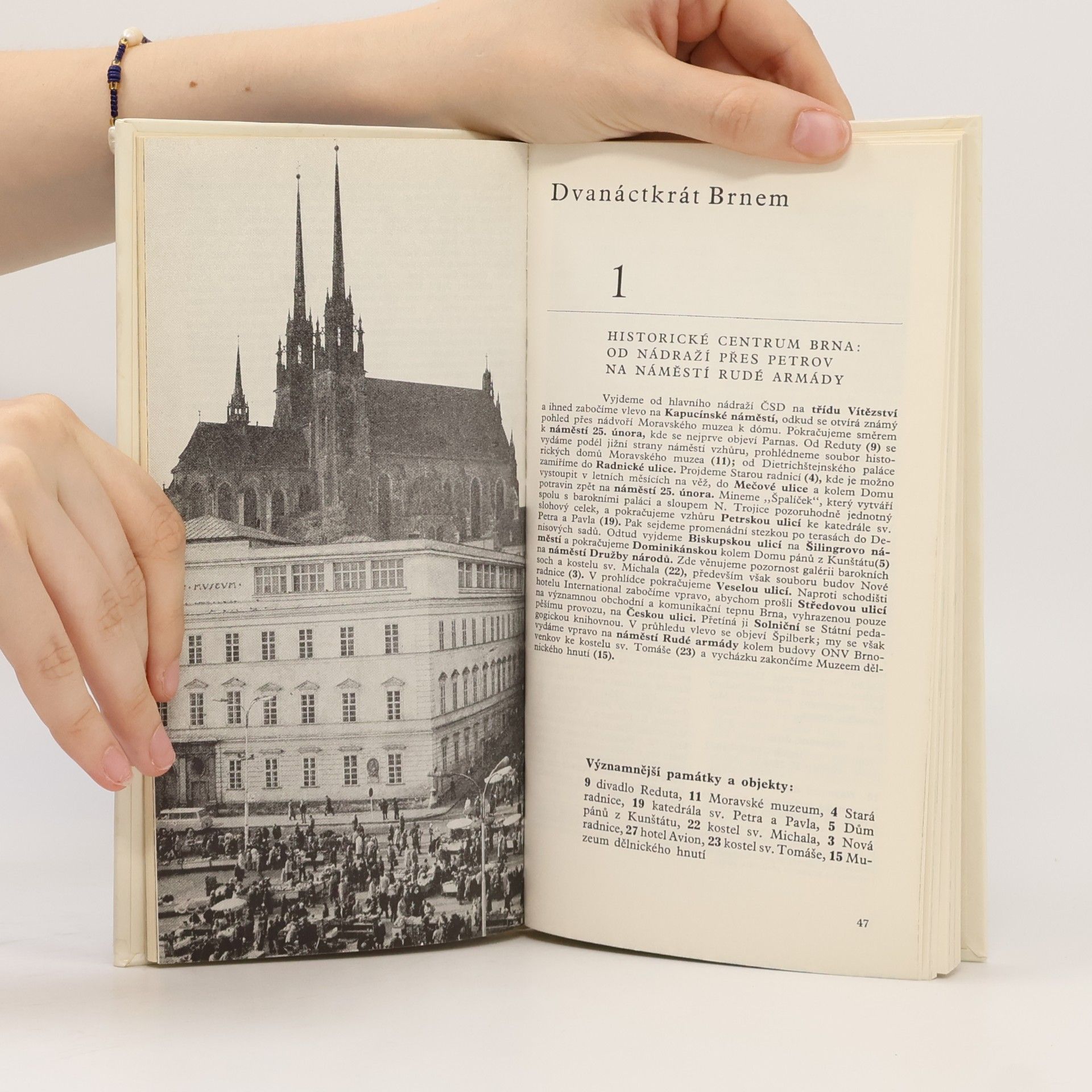 kolektiv Brno. Průvodce, informace, fakta