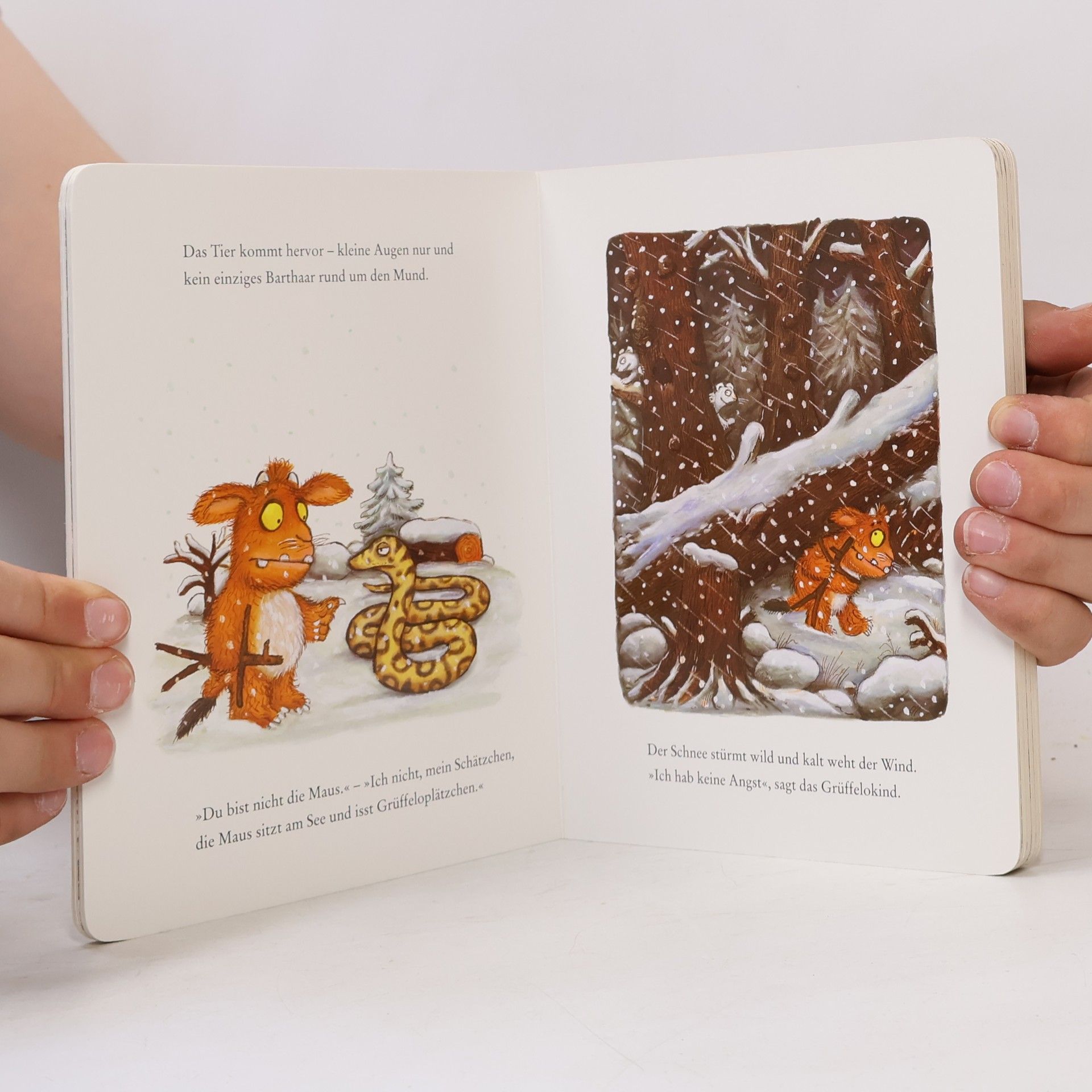 Axel Scheffler Das Grüffelokind