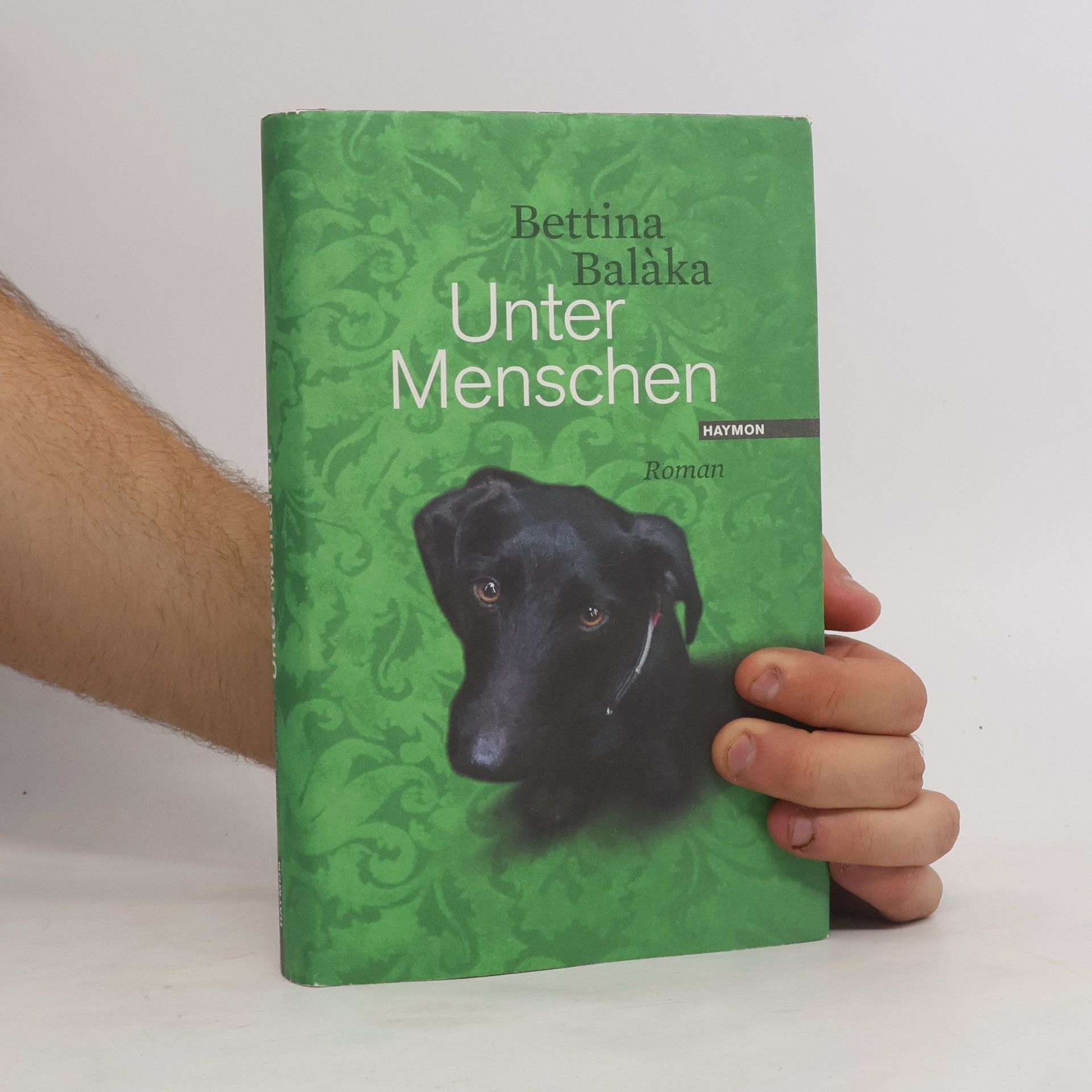 Bettina Balàka Unter Menschen