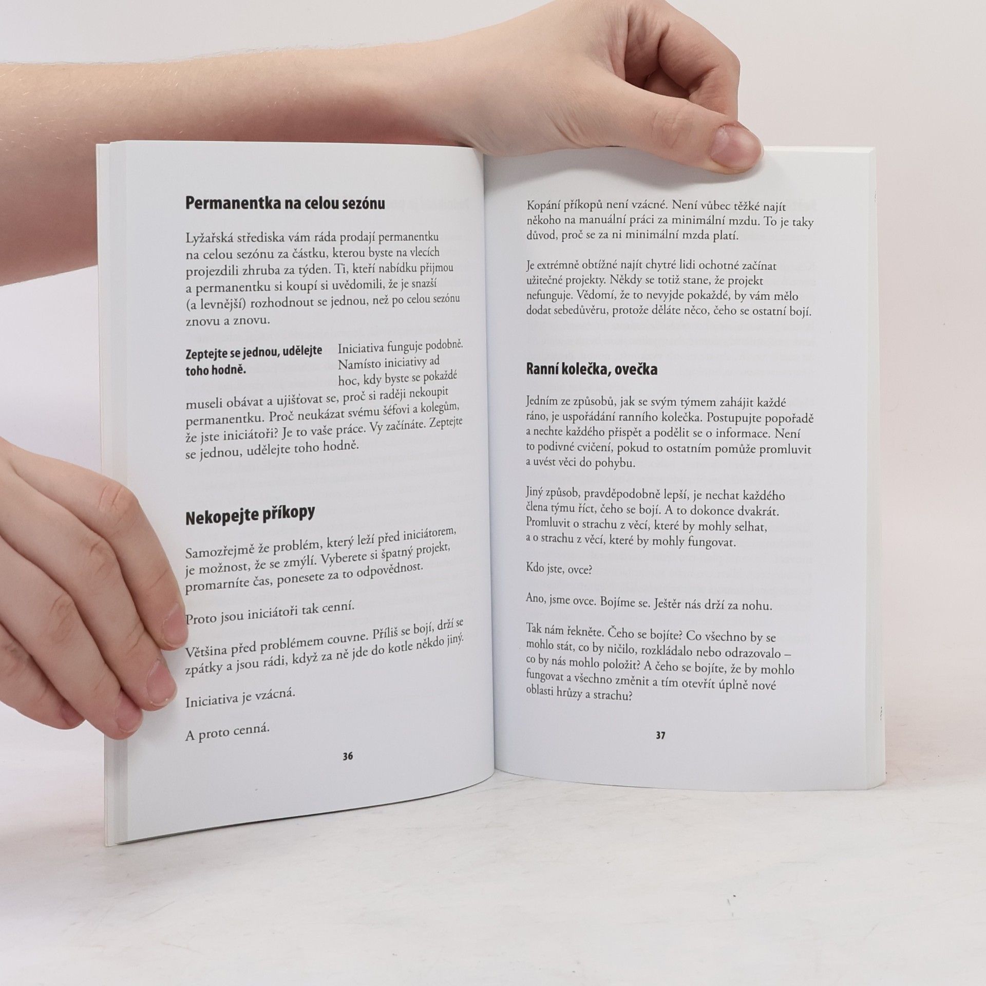 Seth Godin Kopni do té bedny. Jak uvést do života projekty ze šuplíku