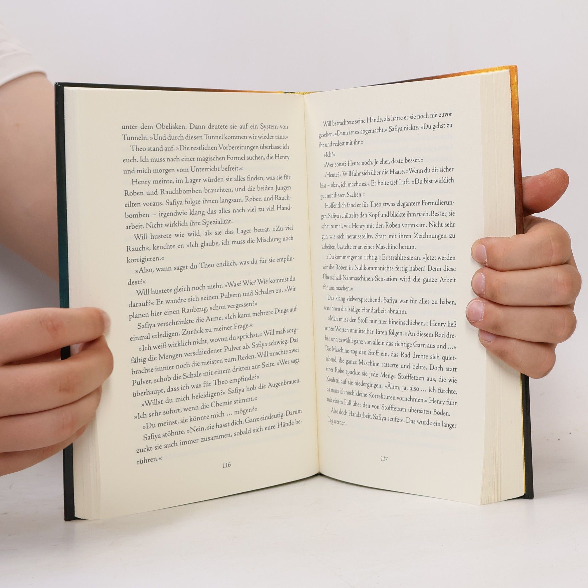 Maike Stein Theodosia – Buch zur TV-Serie. Das Buch zur ersten Staffel