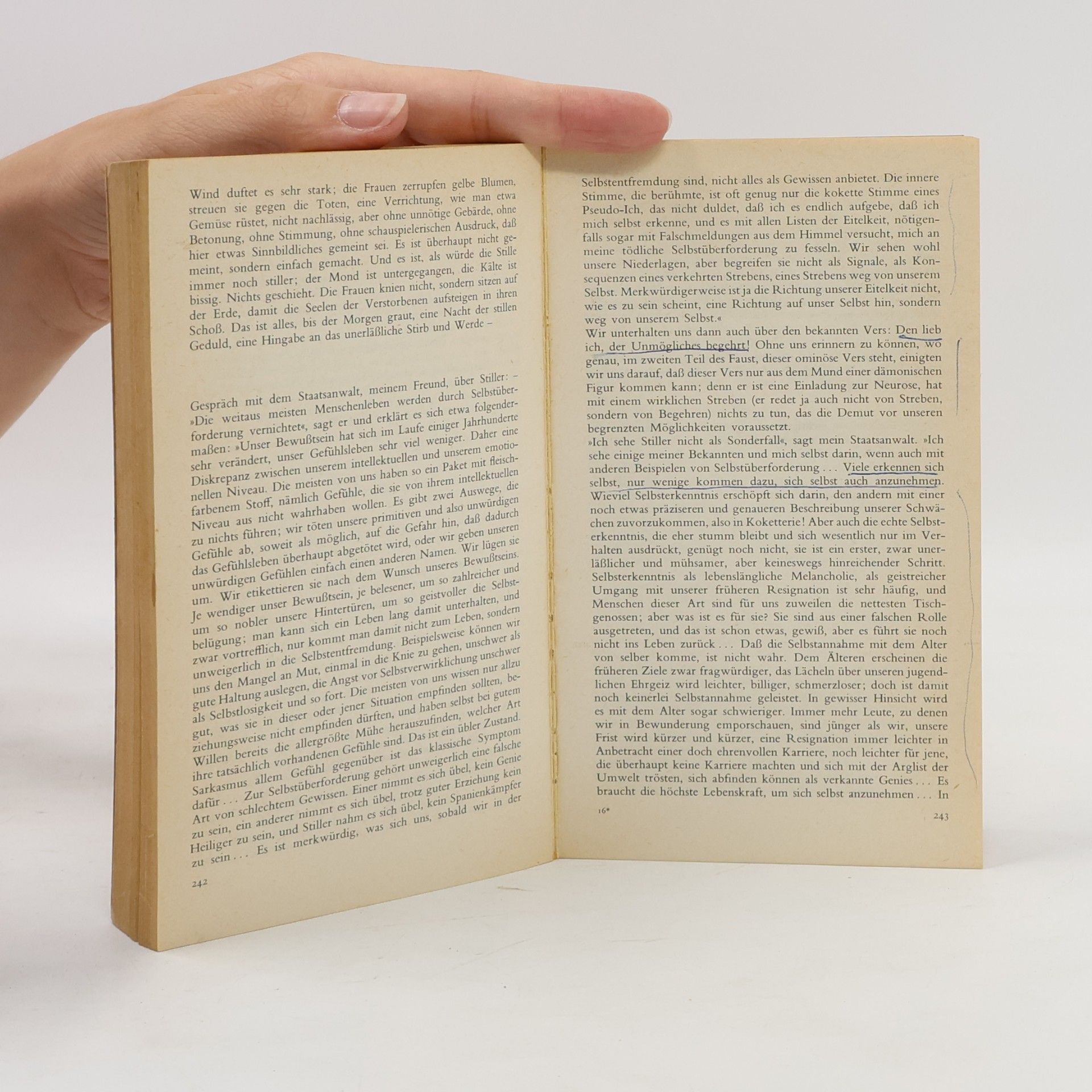 Max Frisch Stiller