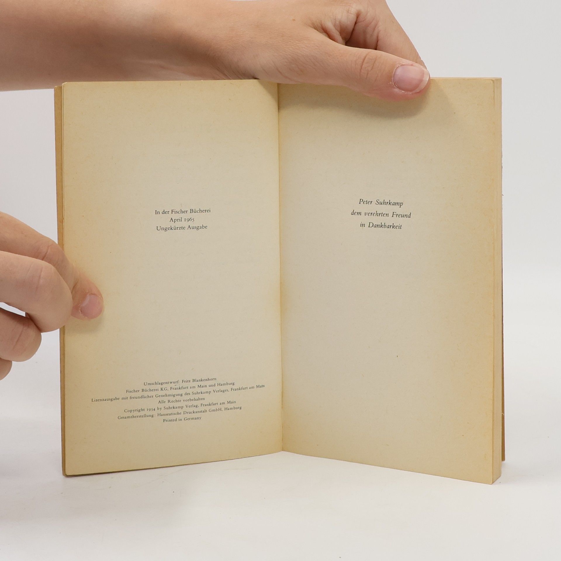 Max Frisch Stiller