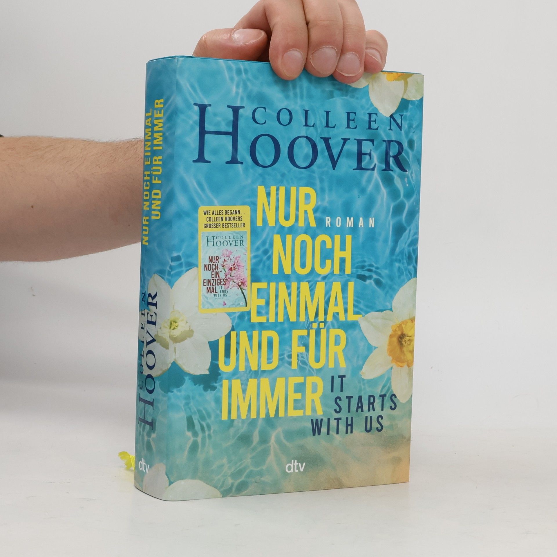 Colleen Hoover Nur noch einmal und für immer