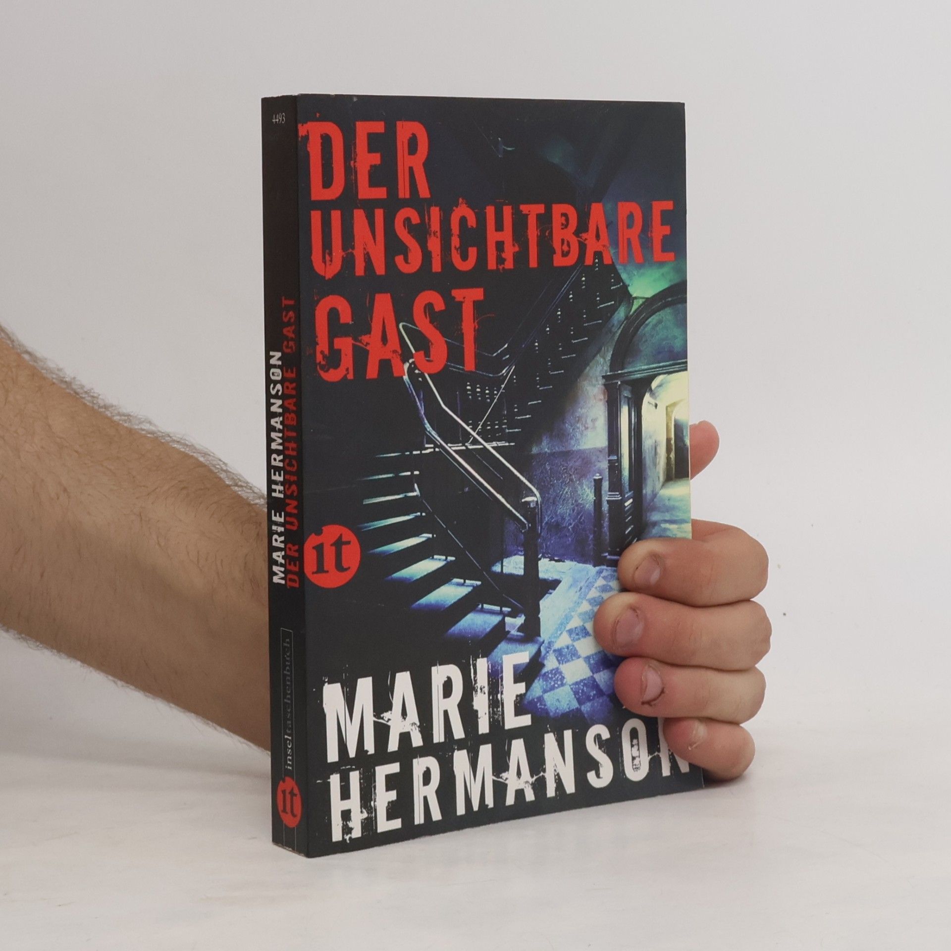 Marie Hermanson Der unsichtbare Gast