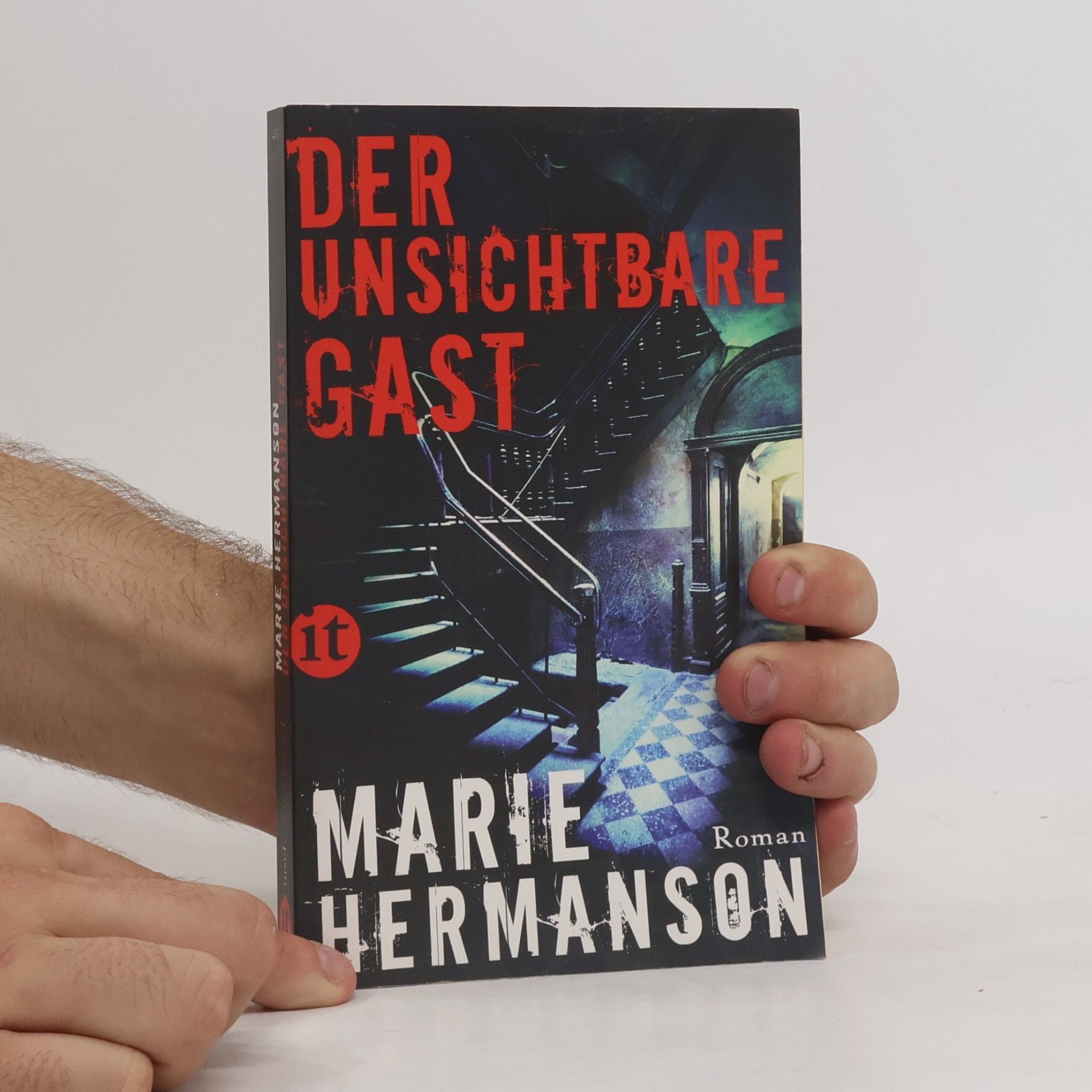 Marie Hermanson Der unsichtbare Gast
