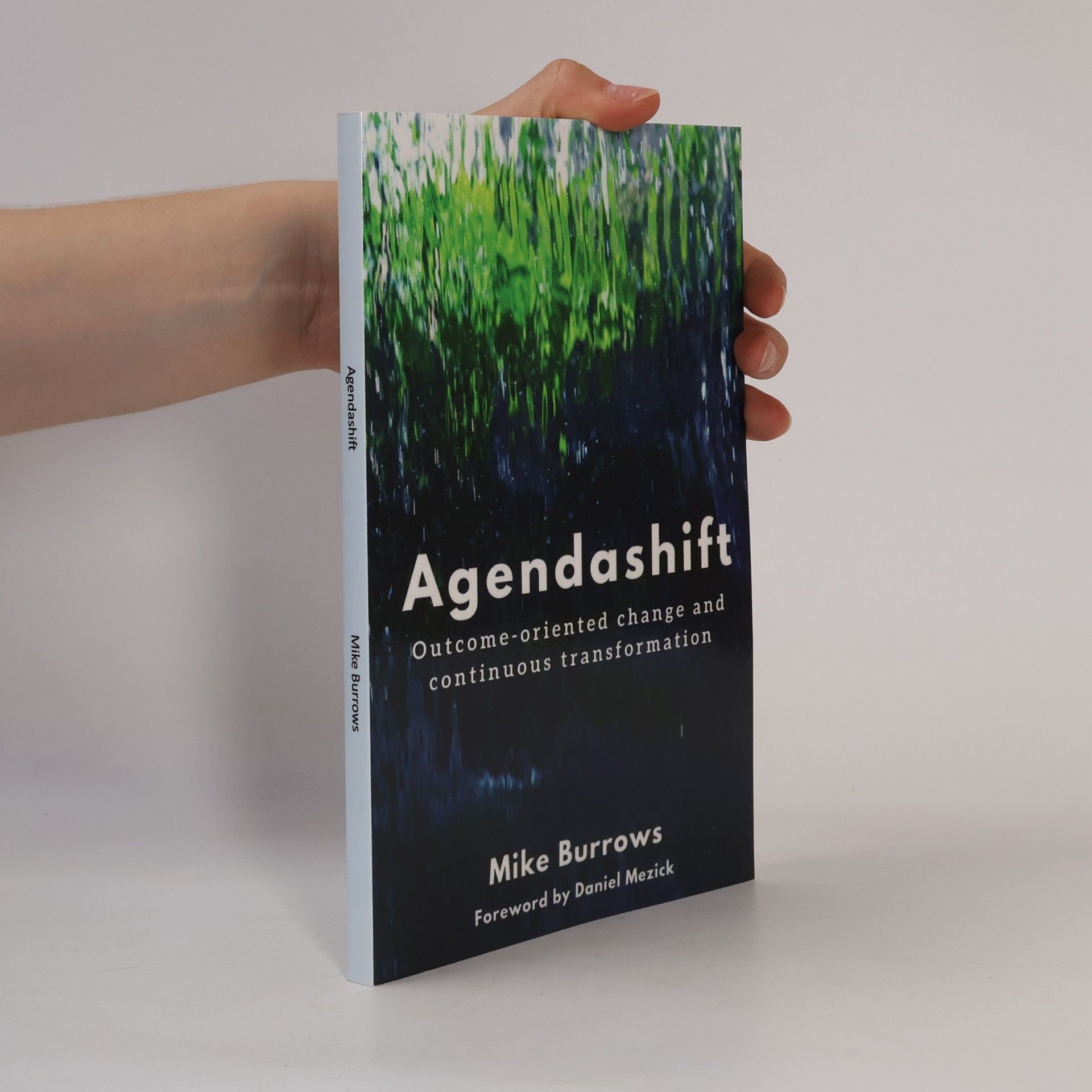 Mike Burrows Agendashift