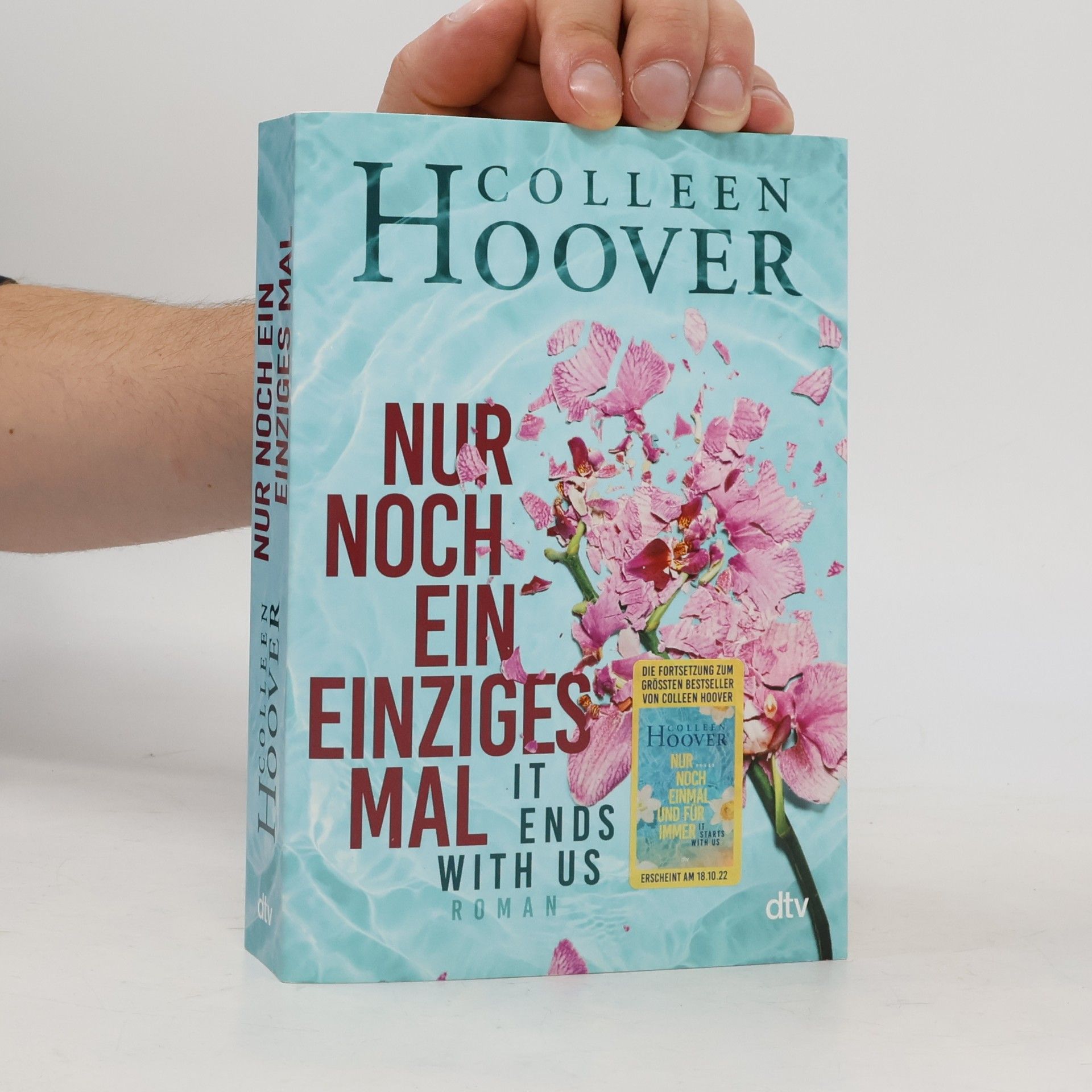 Colleen Hoover Nur noch ein einziges Mal
