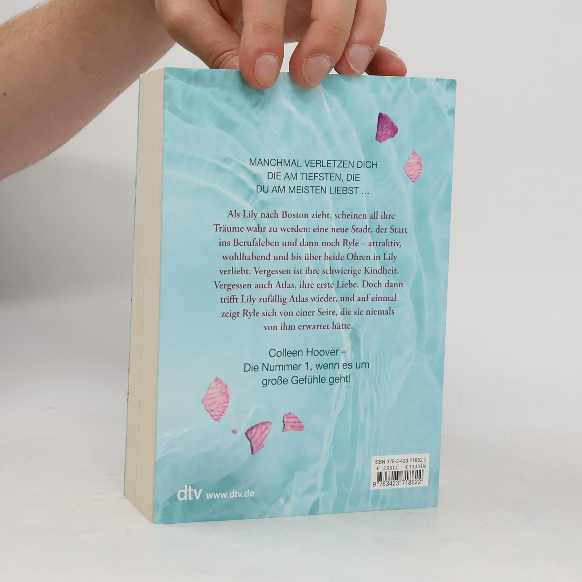Colleen Hoover Nur noch ein einziges Mal