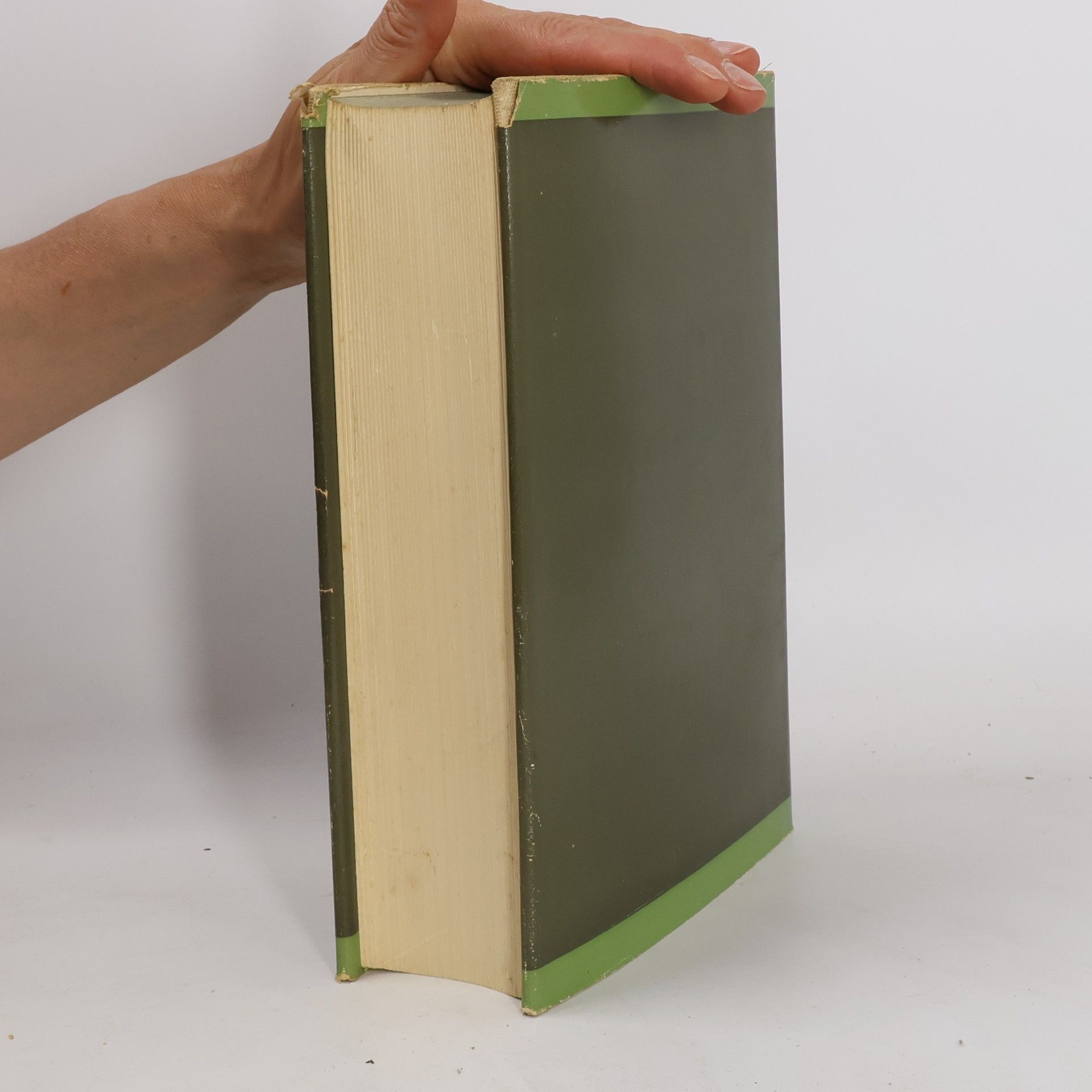 Bruno Gebhardt Handbuch der deutschen Geschichte I.