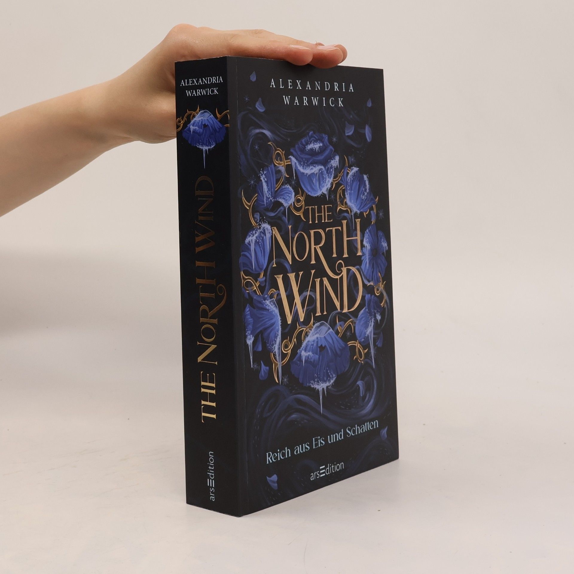 Alexandria Warwick The North Wind - Reich aus Eis und Schatten