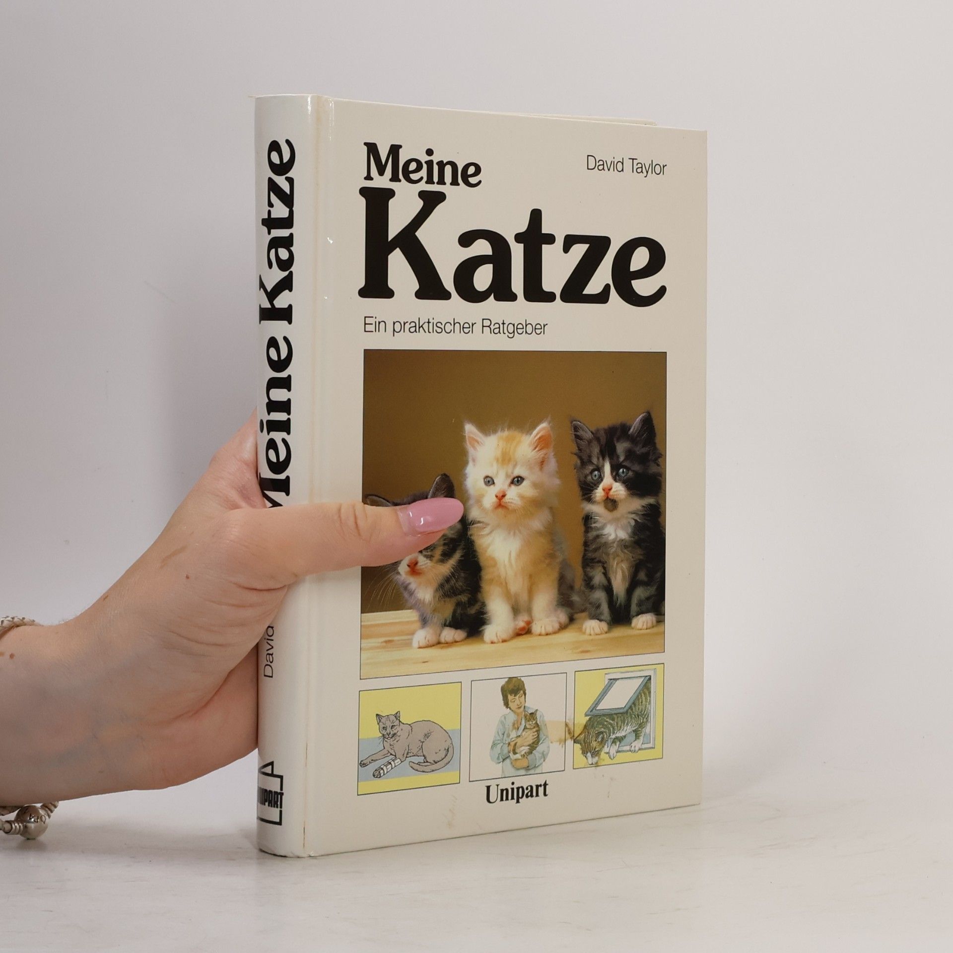 David Conrad Taylor Meine Katze