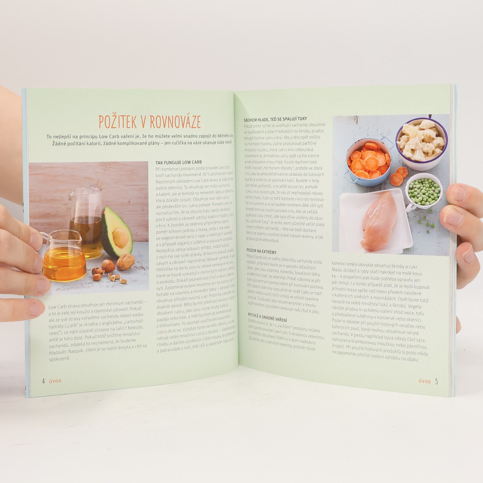 Inga Pfannebecker Rychlé recepty Low Carb