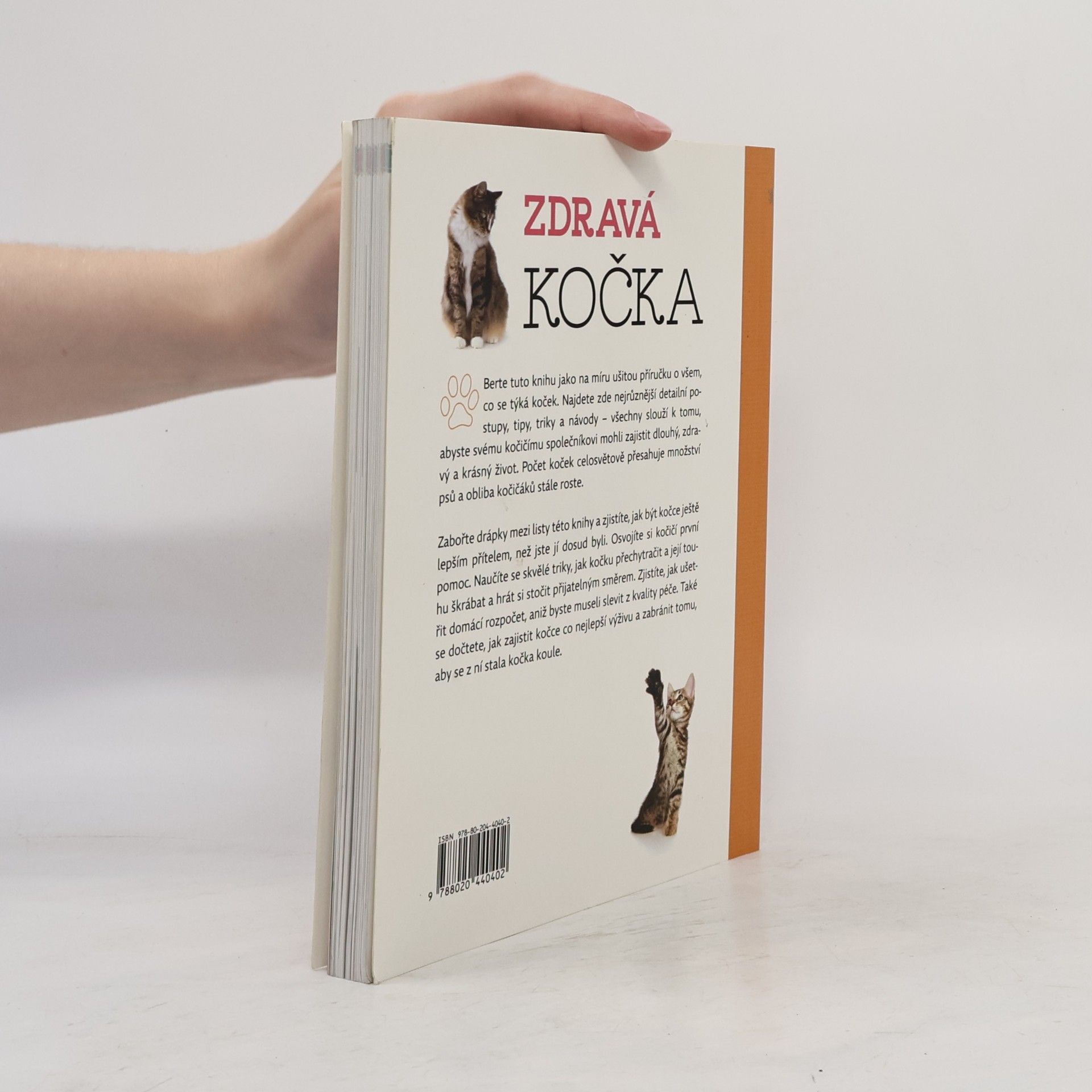 Arden Moore Zdravá kočka: Tipy & triky, jak zajistit vaší kočce delší, zdravější a šťastnější život