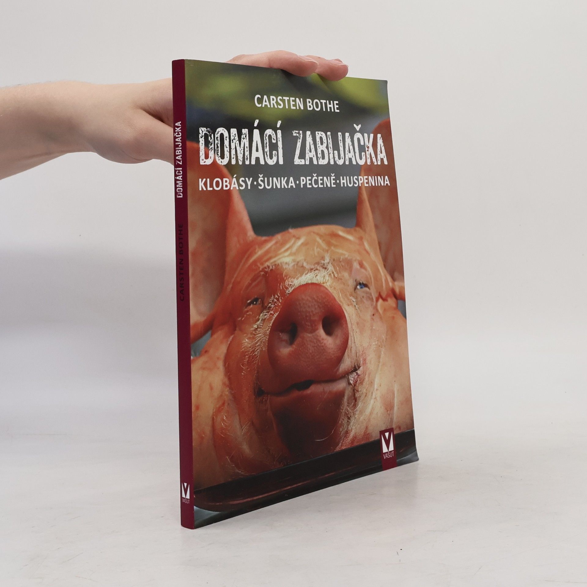 Carsten Bothe Domácí zabijačka: Klobásy, šunka, pečeně, huspenina